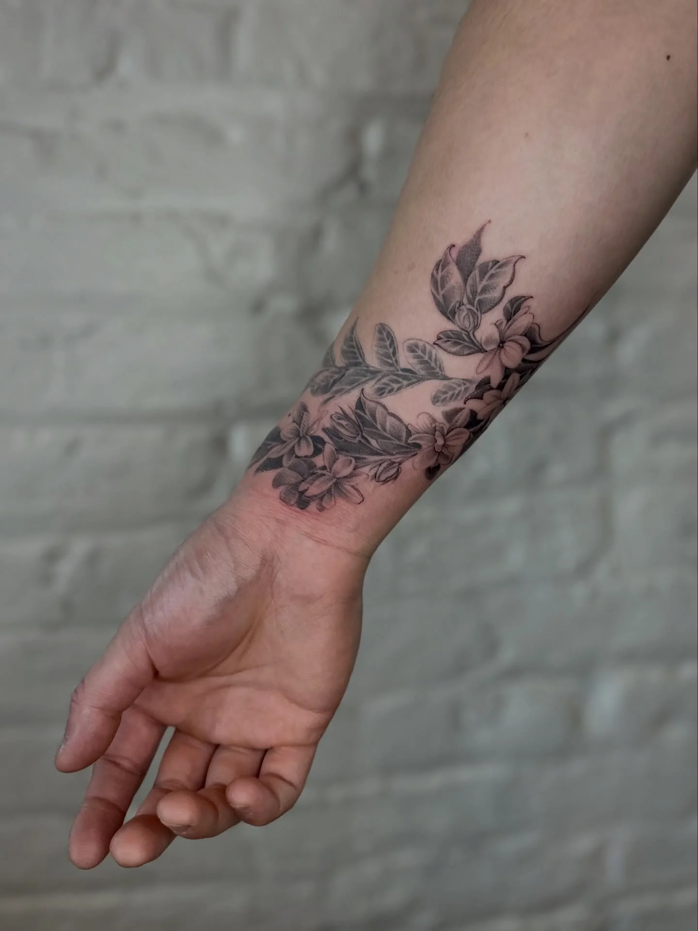 Arabian jasmine 🌼 &mdash; the national flower of the Philippines.
Jacob is an amazing Chicago chef at @lilactigerchi, @coachhousechi, and @sarimacafe &mdash; truly grateful for the art and the amazing food. 🍜✨

&bull; Hibiscus &mdash; healed 10 mon