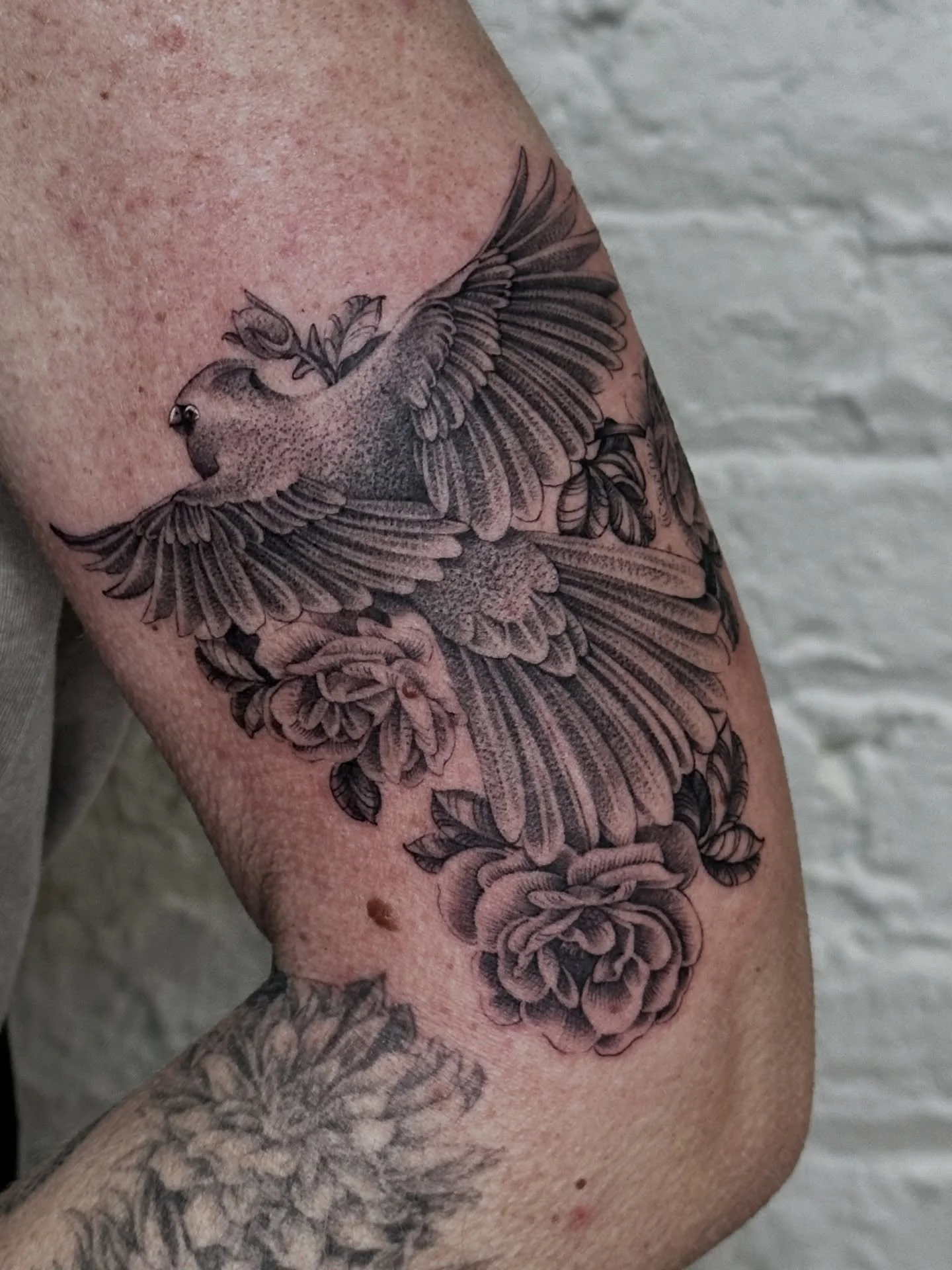 Cardinal and roses, flying away to represent her mother&rsquo;s passing.
Memorial tattoos hold a lot of meaning for me, and I&rsquo;m grateful to those who trust me with the memories of their loved ones. ❤️

#finelinetattoo #memorialtattoo #chicagota