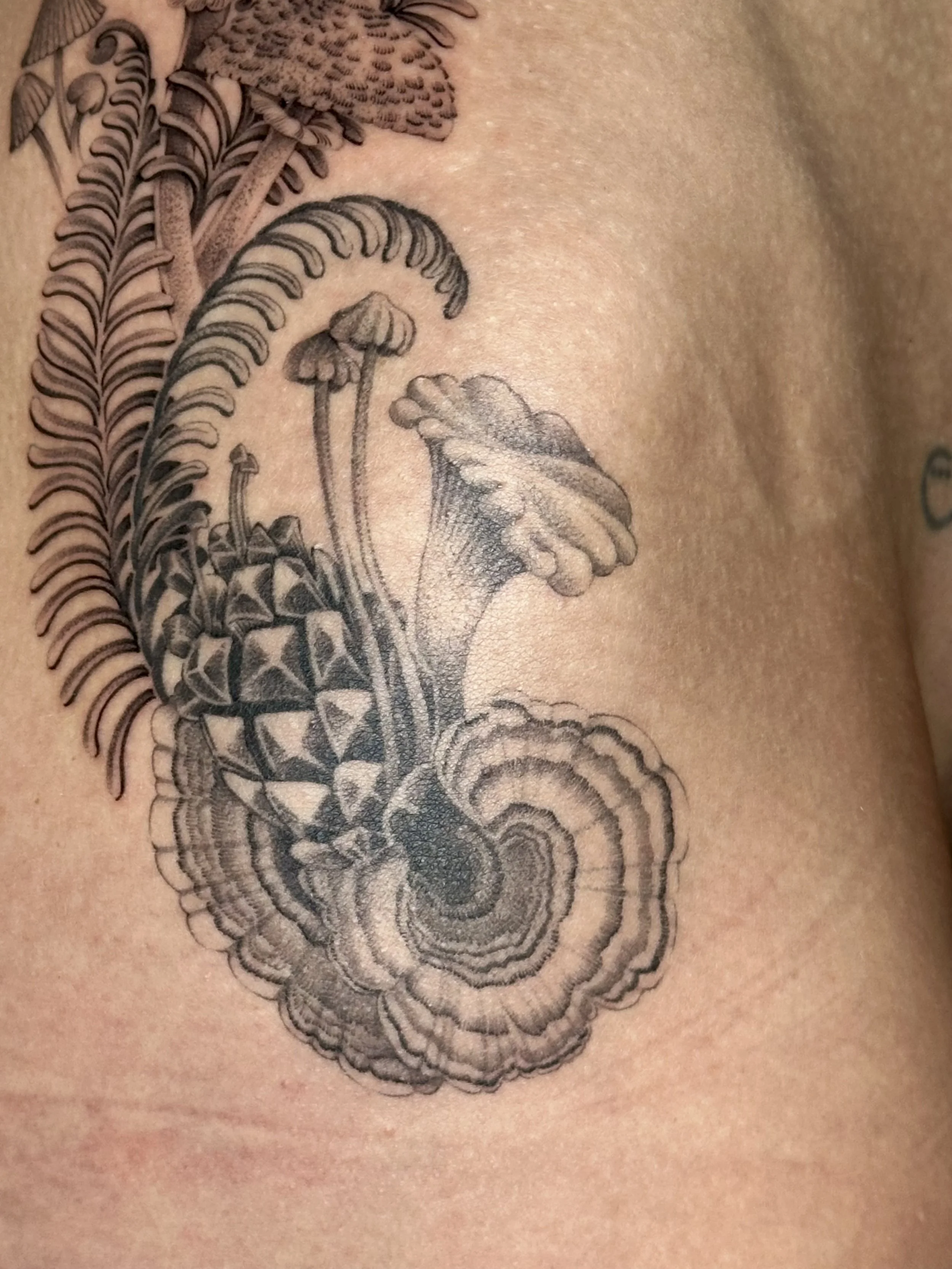 Close up black and grey fine line mushroom tattoo