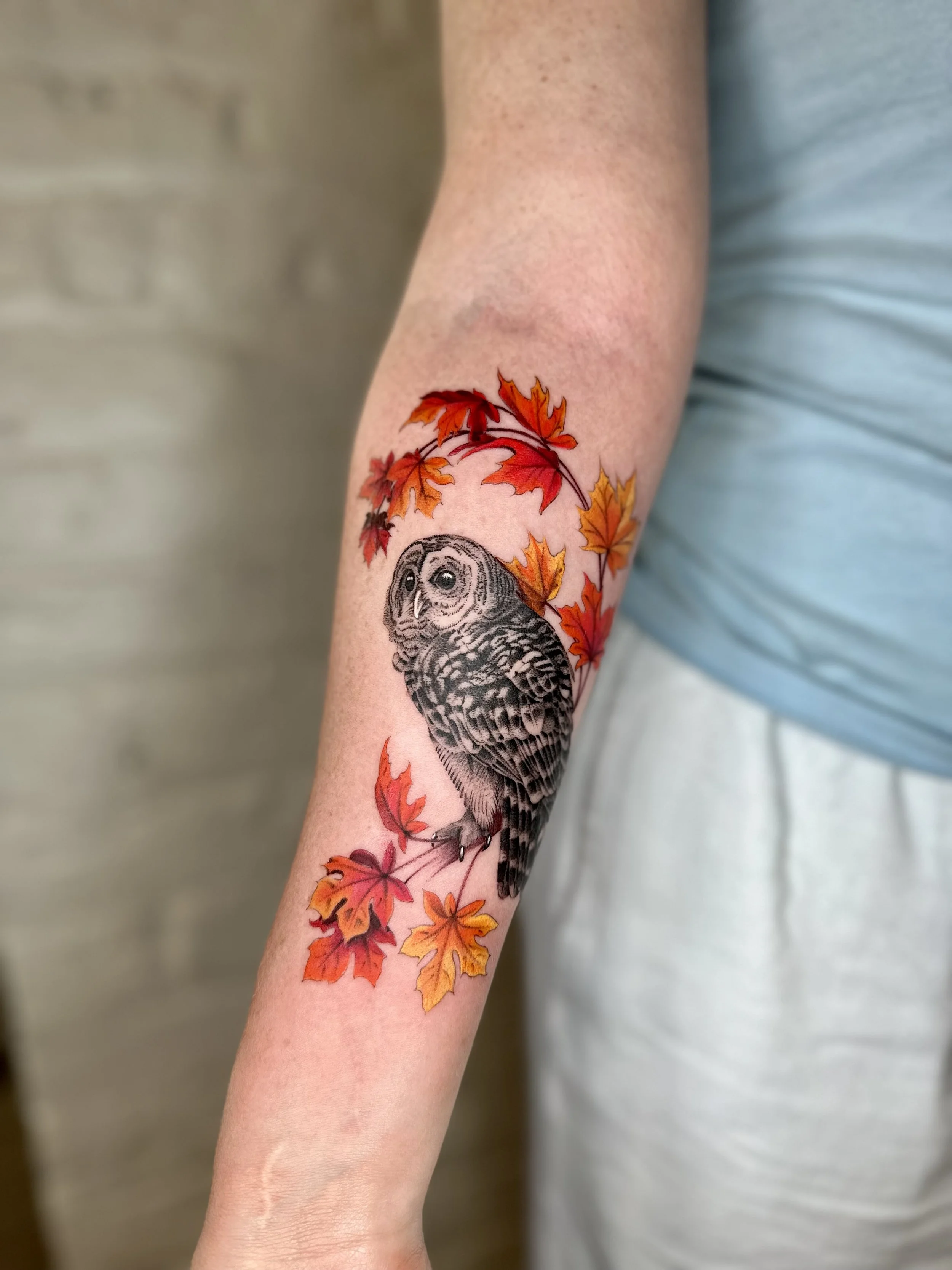 Black and Grey Barred Owl Tattoo with Color Maple Leaves