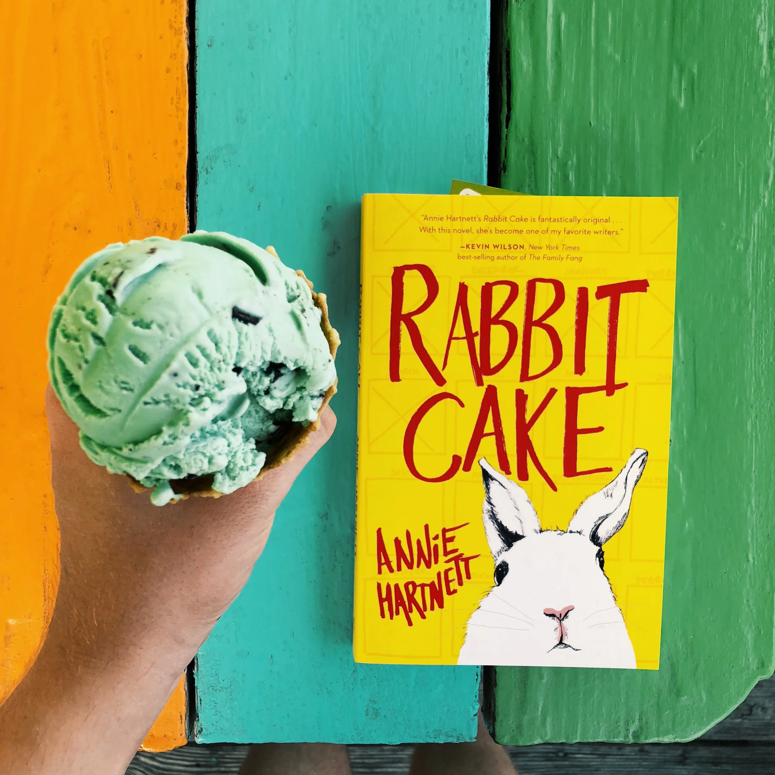 Rabbit Cake by Annie Hartnett