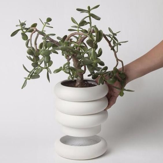 8 places to find cute planters