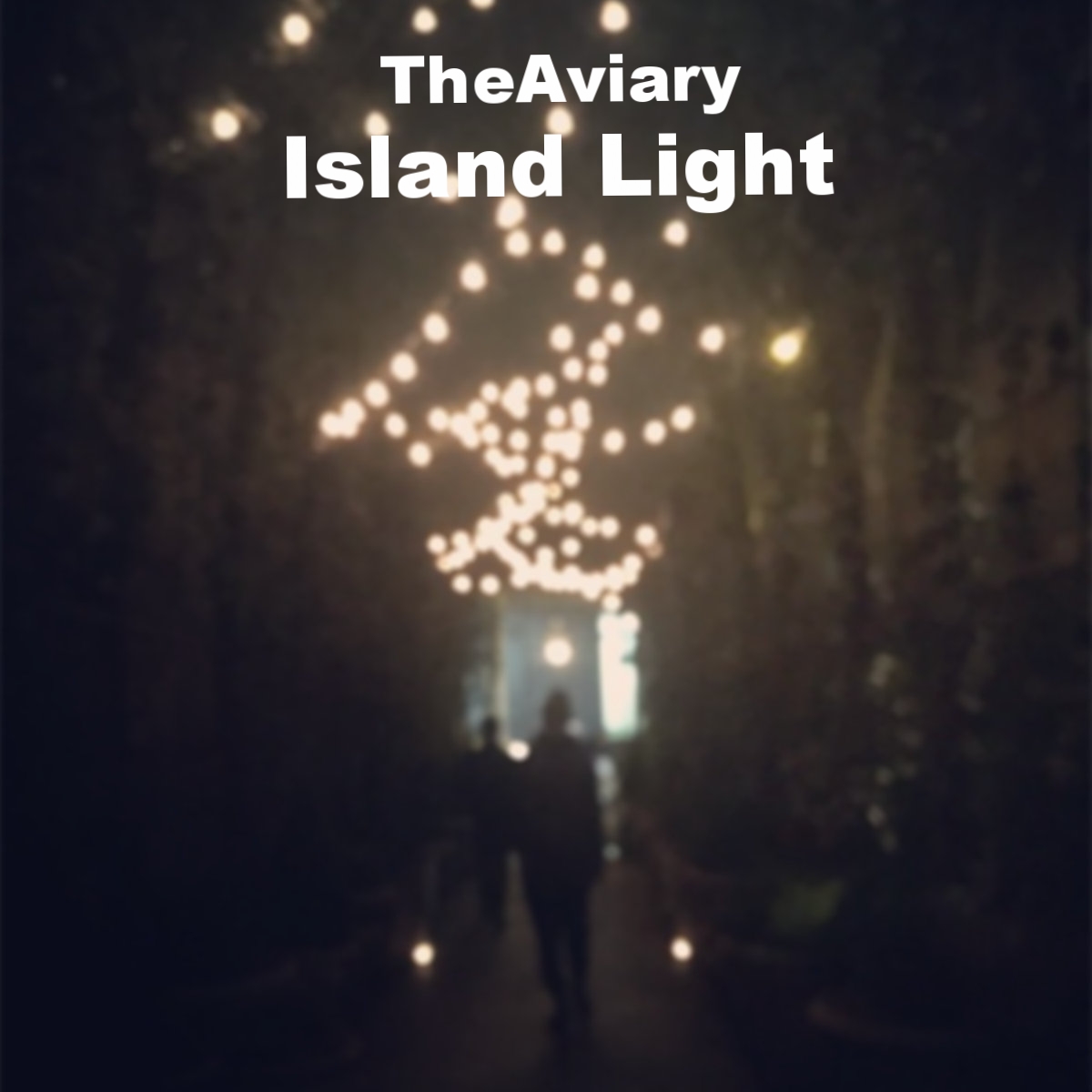 The Aviary - Island Light.jpg