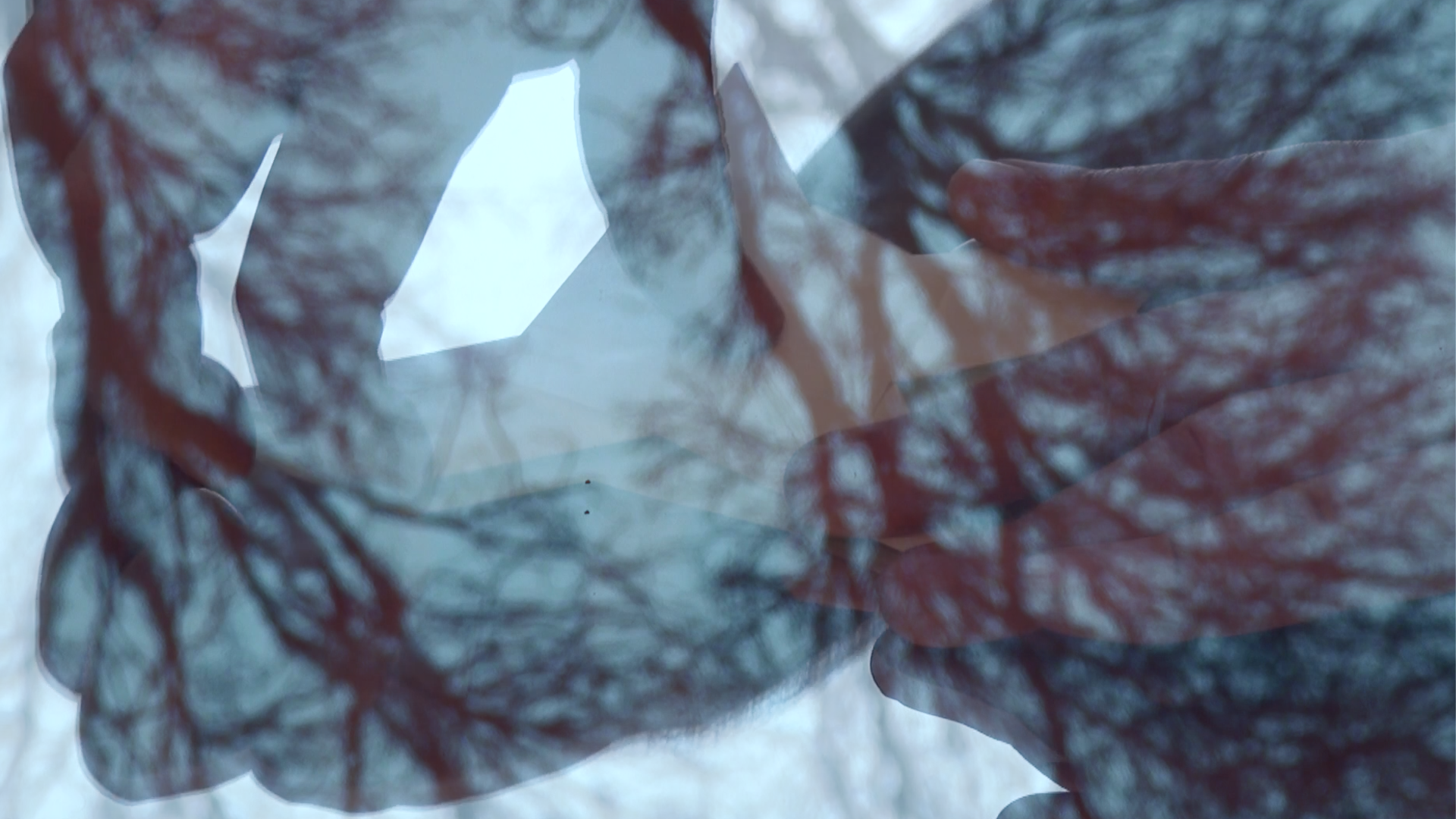 Trees Piegeon.png