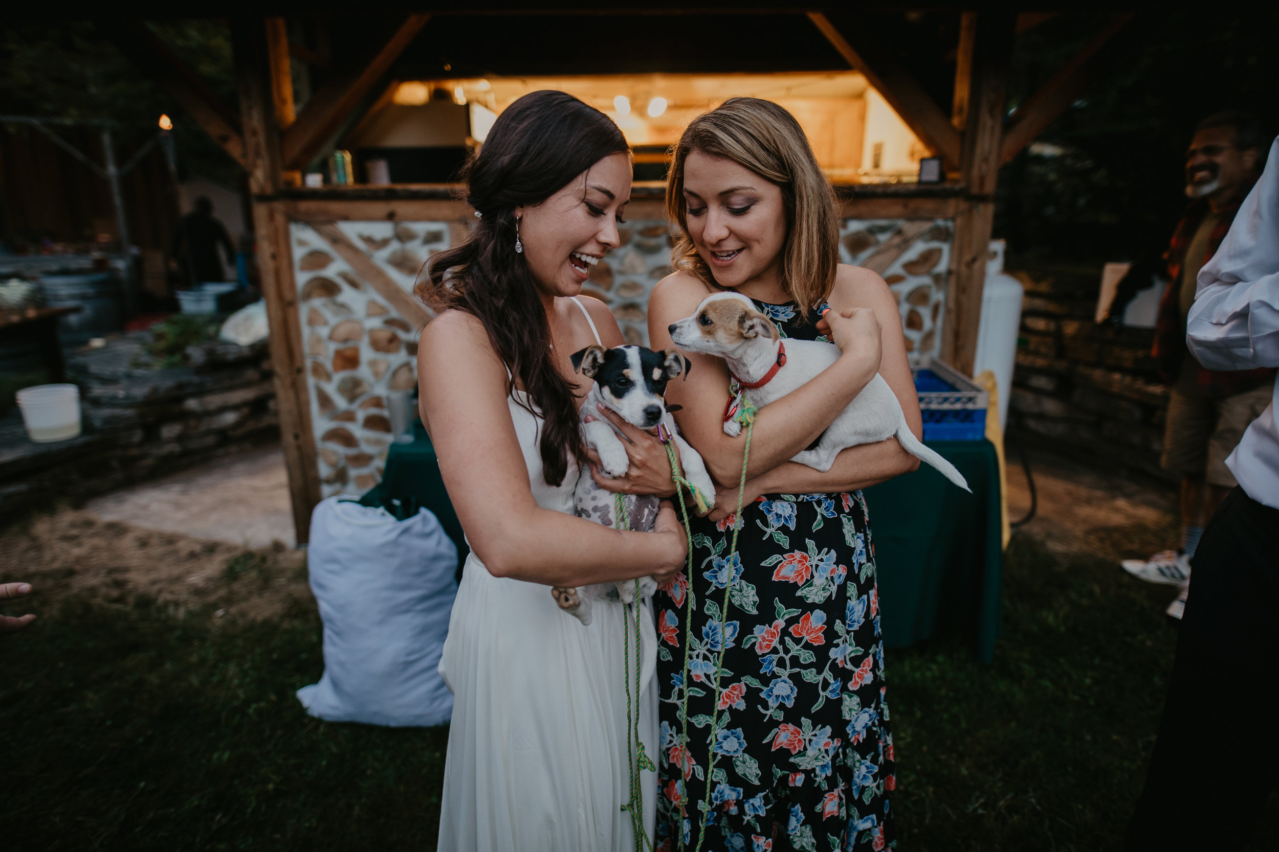 Dave_Kalyn_AspenAndCedar-1182.jpg