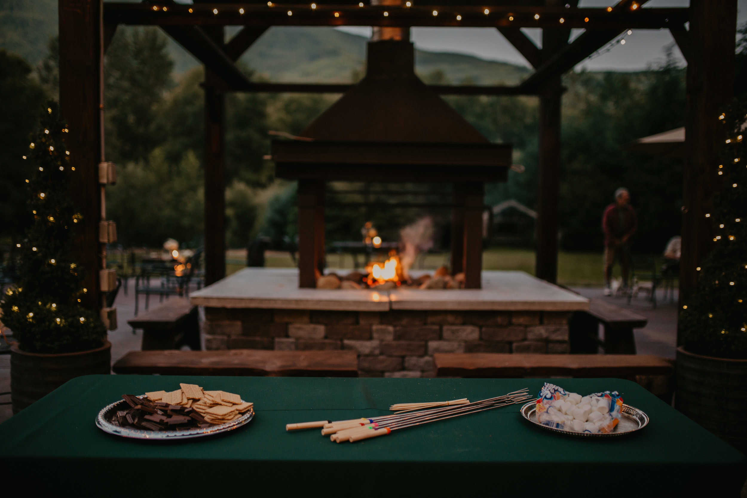 Dave_Kalyn_AspenAndCedar-1194.jpg