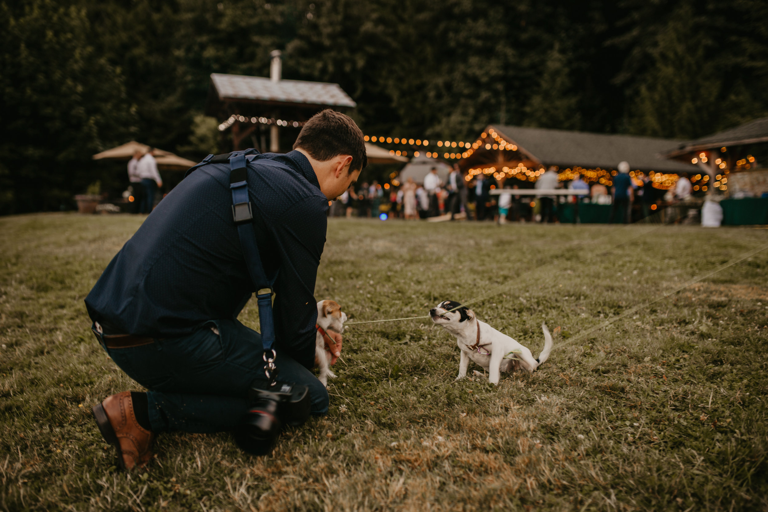 The only thing that gets me to take a break from photography… Puppies!