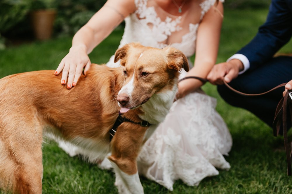 Jenny and Wes Sneak Peek (22 of 71).jpg