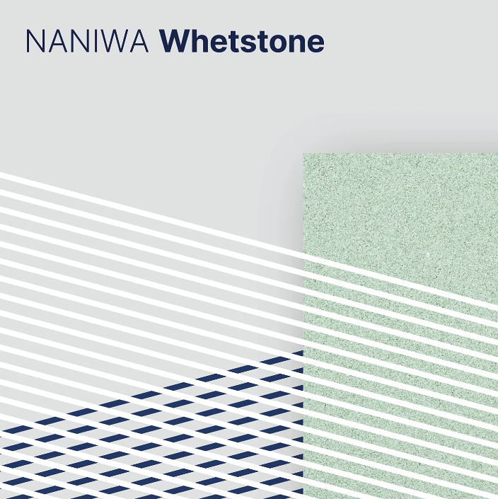 cover 1.png