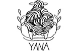 New yarn arrival: Amano Yana