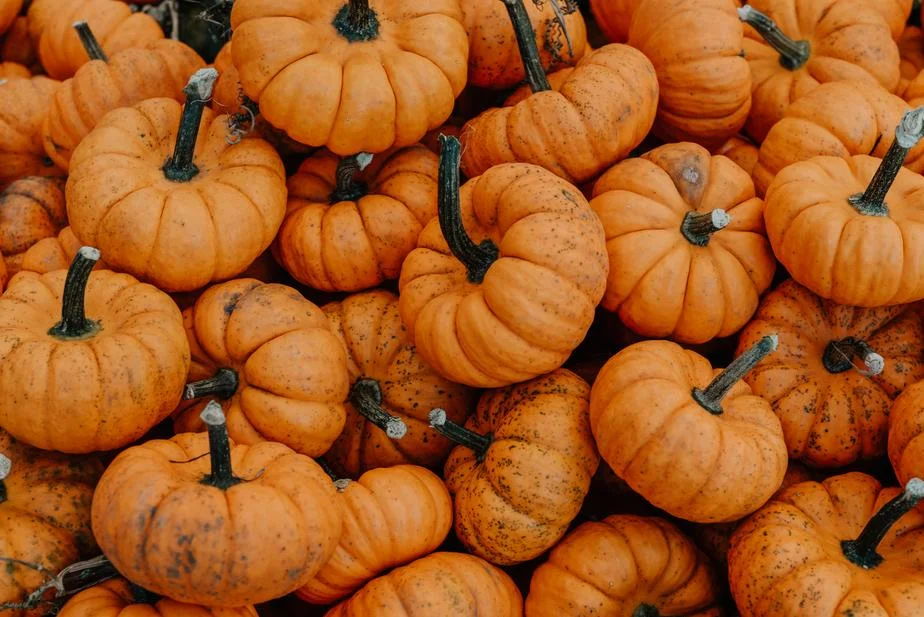 Newsletter October 25, 2018