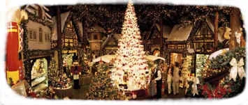 Newsletter November 23, 2018