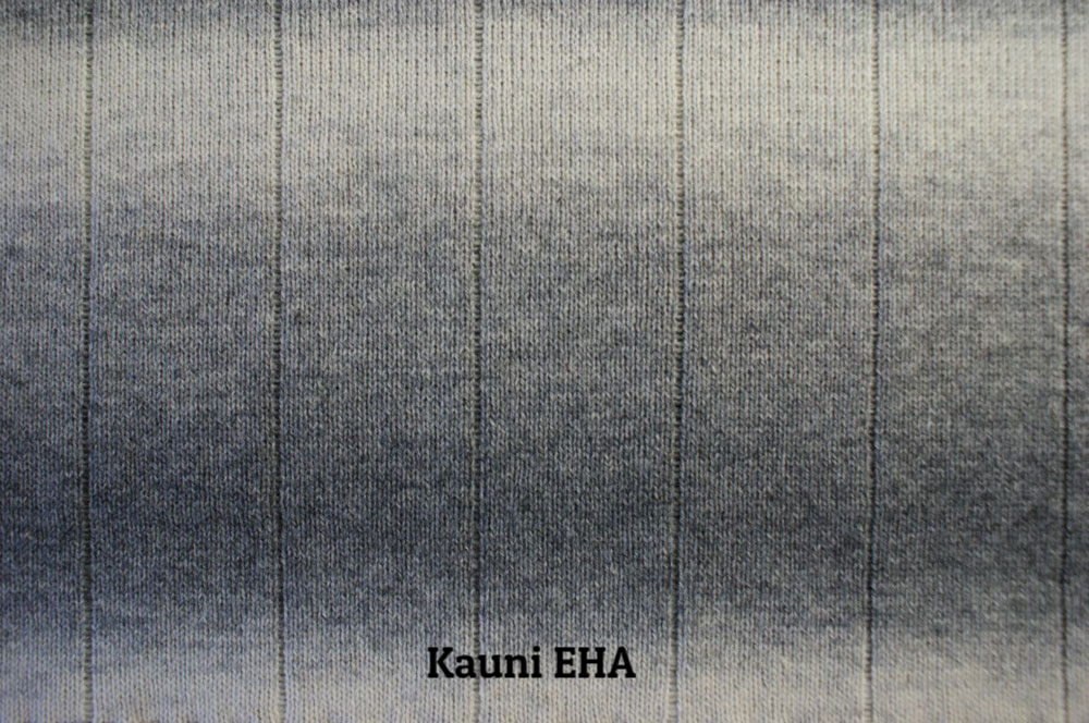 EHA2.png