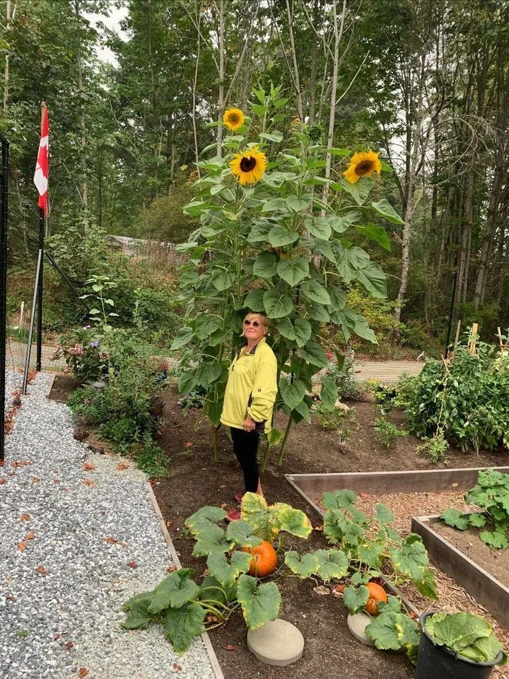 Newsletter September 27, 2020