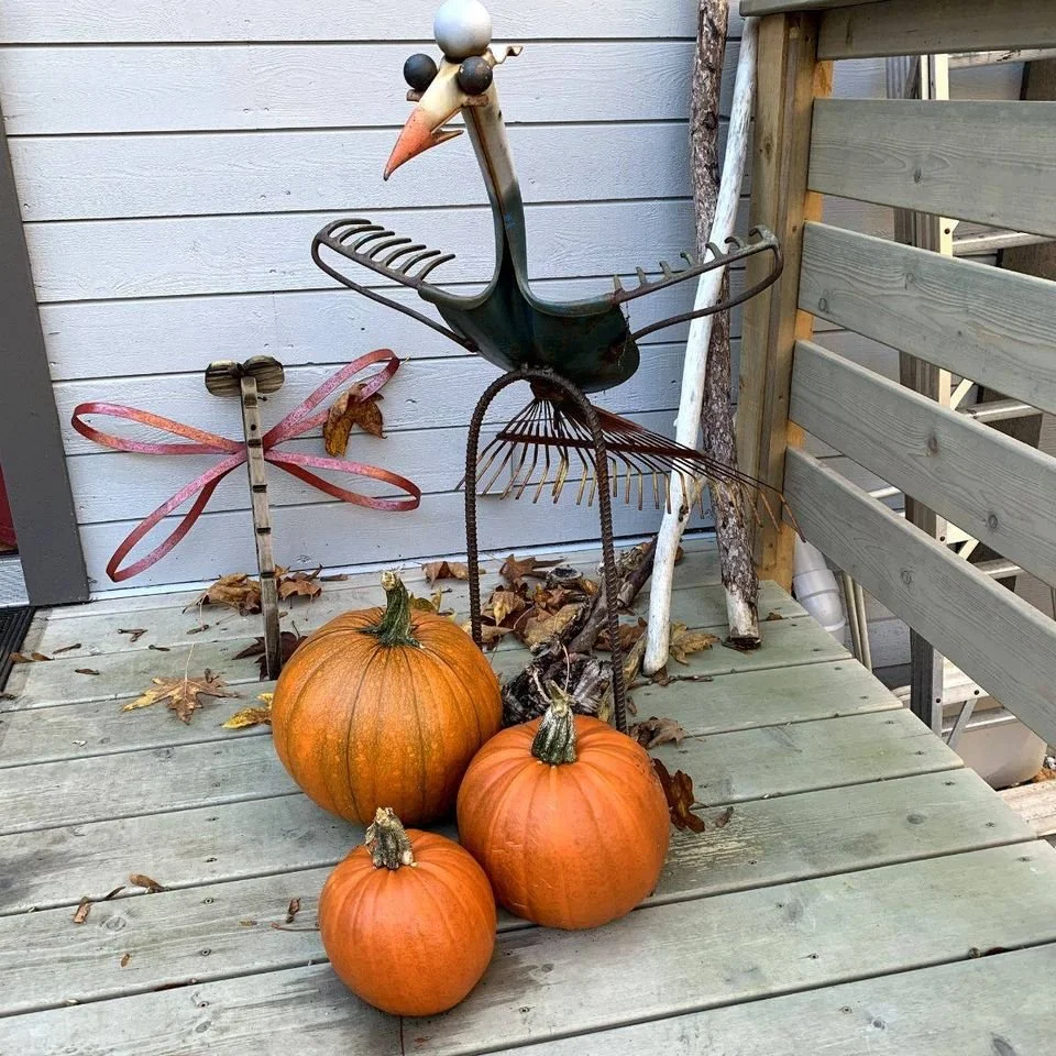 Newsletter October 24, 2020