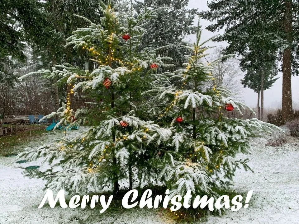 Newsletter December 21, 2021