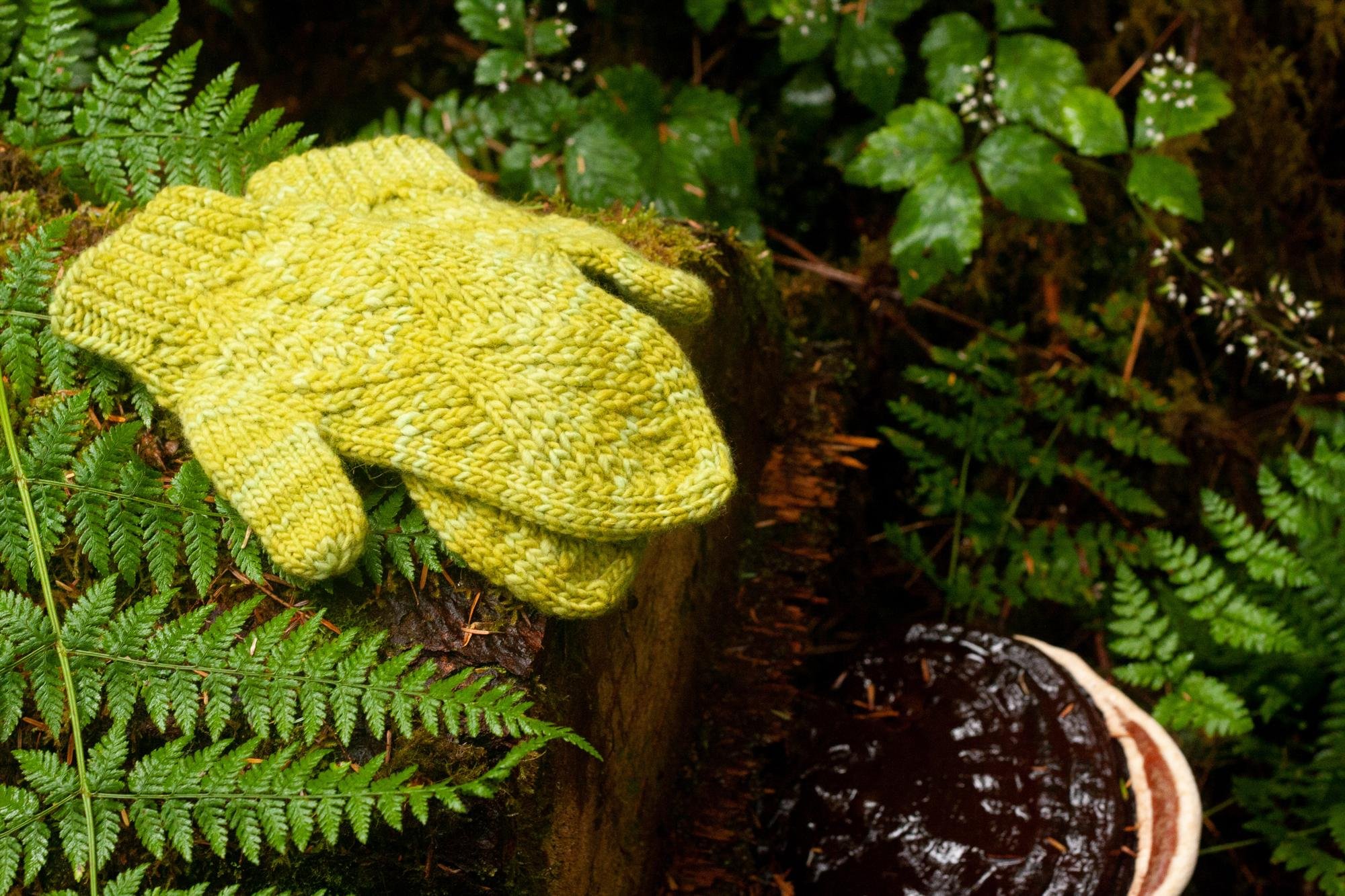 Newsletter November 12, 2023