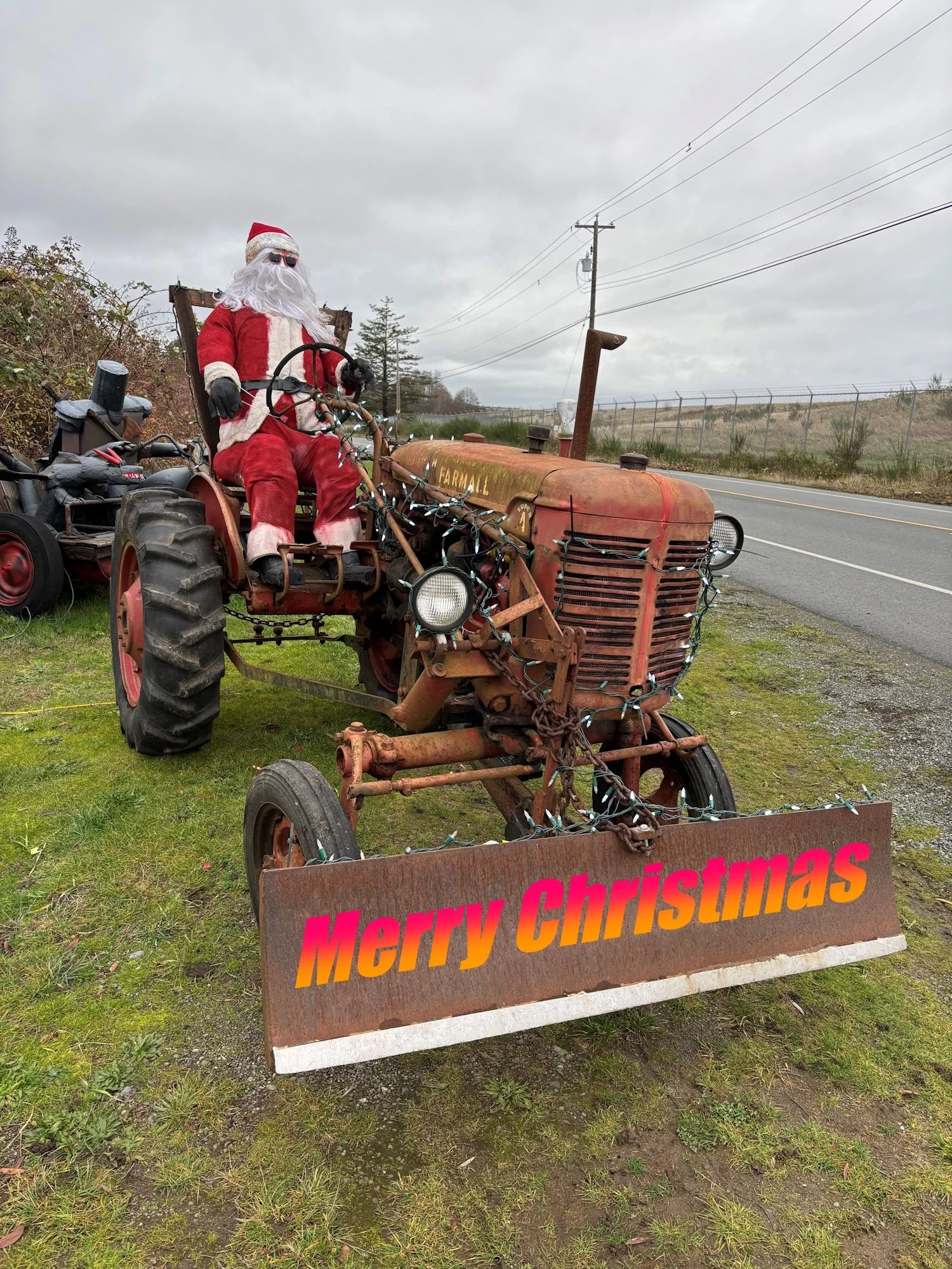 Newsletter December 15, 2025