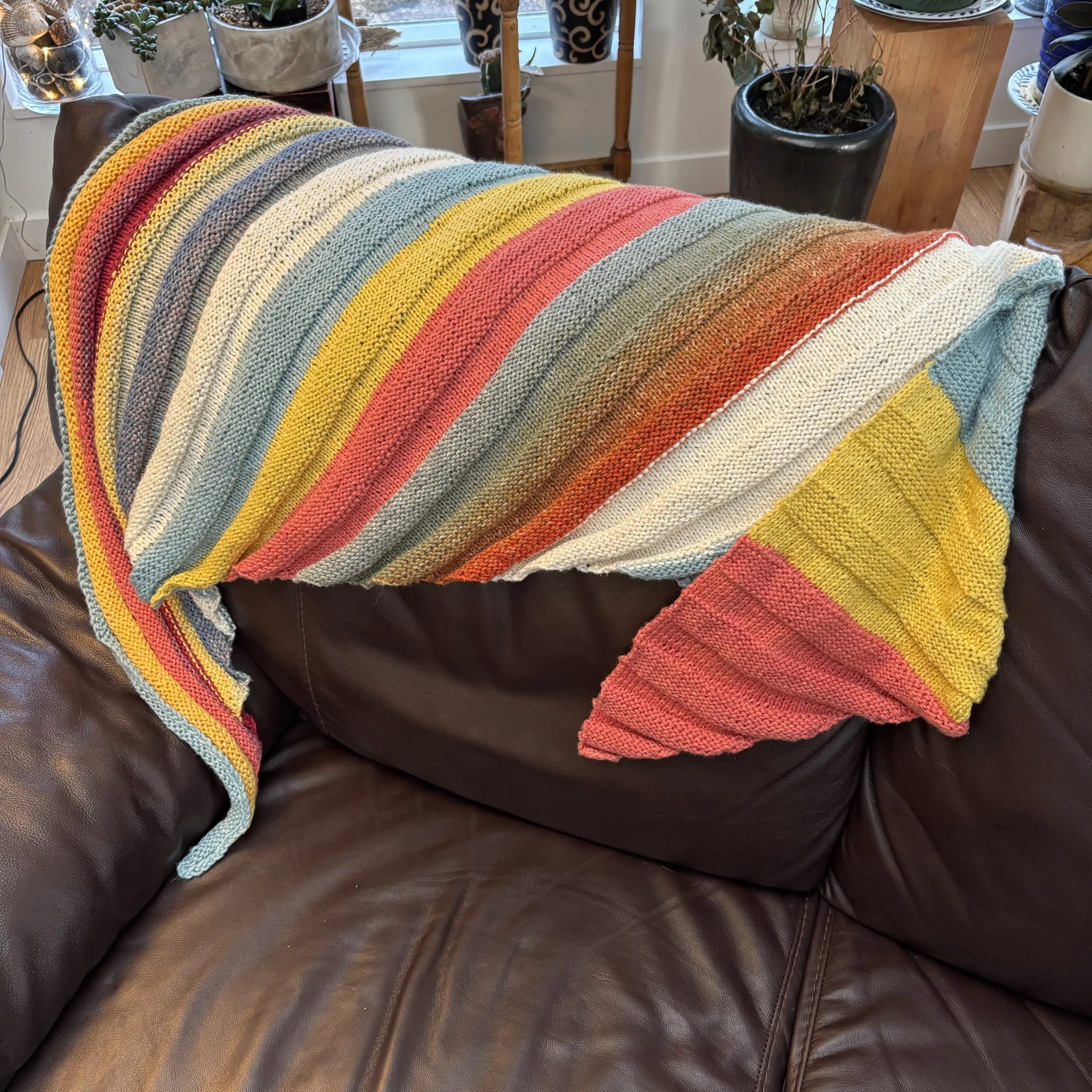 Newsletter January 15, 2026