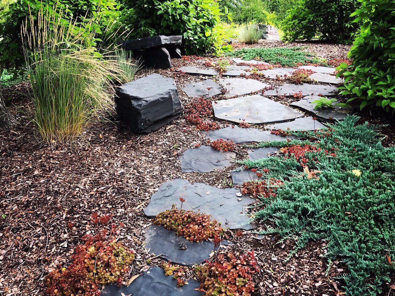 SALINE LANDSCAPE & DESIGN