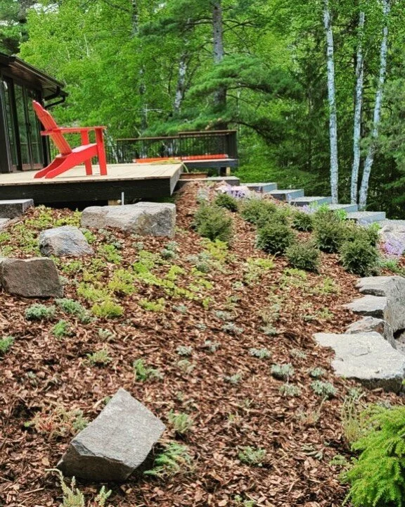 SALINE LANDSCAPE & DESIGN