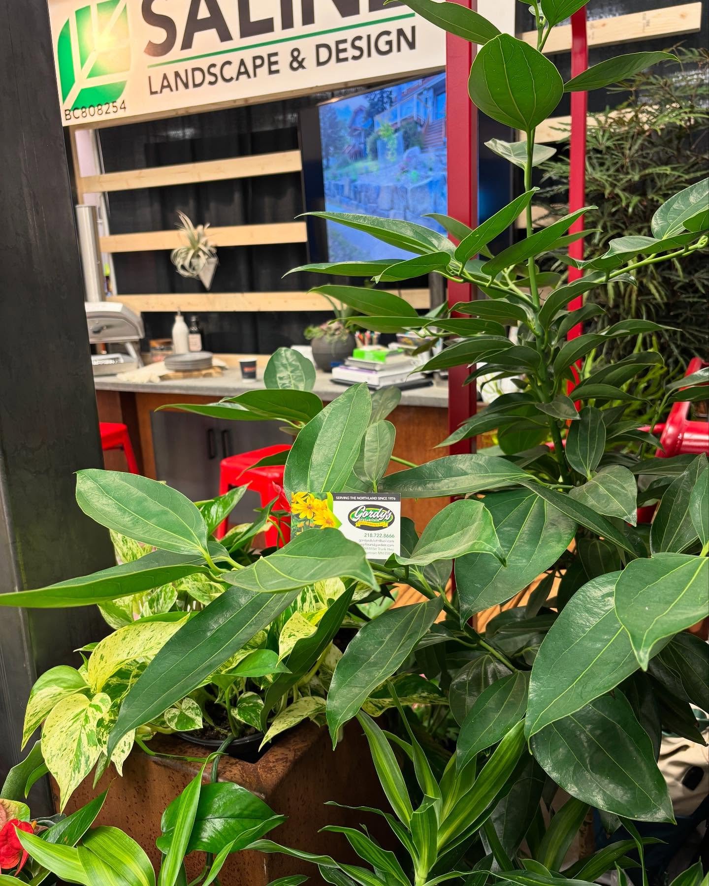 Big thanks to @ricelakegardens and @gordysgiftsandgarden for greening our homeshow booth!
#arrowheadhomeandbuildersshow #keepitlocal #greenpartners