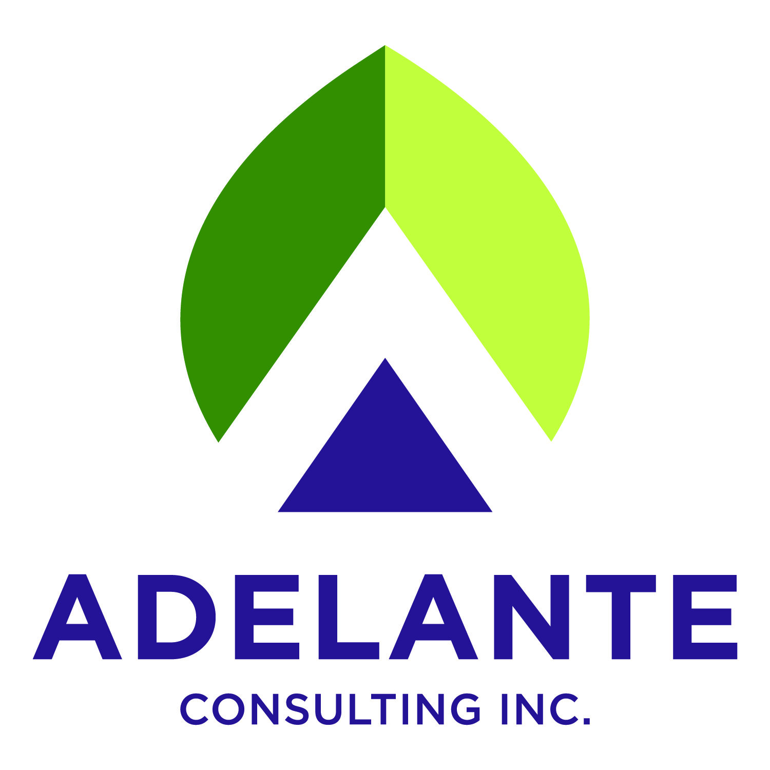 AdelanteConsultingInc_Logo_FullColor_CMYK.jpg