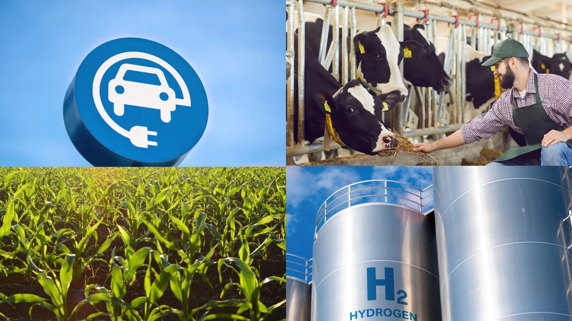 People Prefer Pragmatism