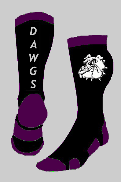 42001707-p-town-dawgz-purple-grey-black-socks-102817.jpg