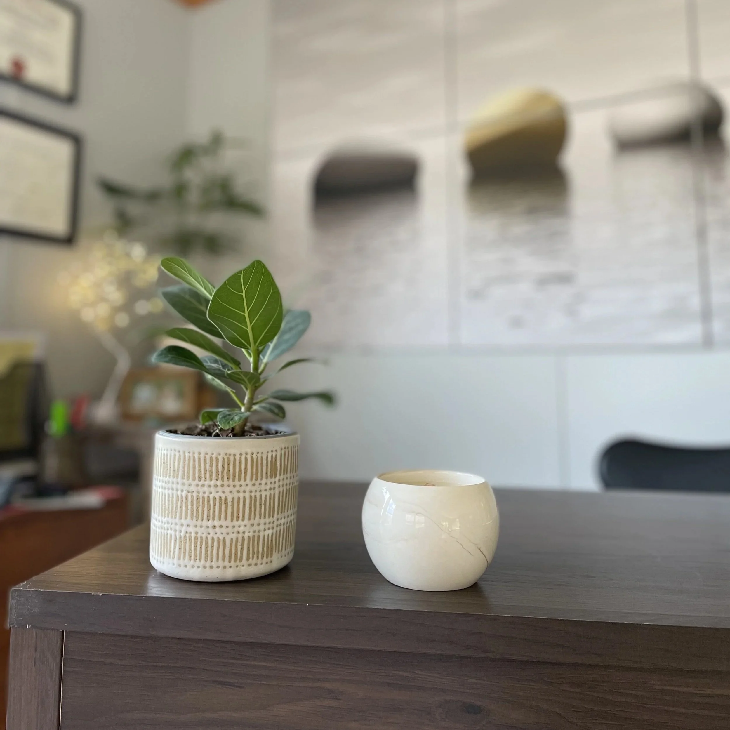 A plant and a candle on the desk at Revive