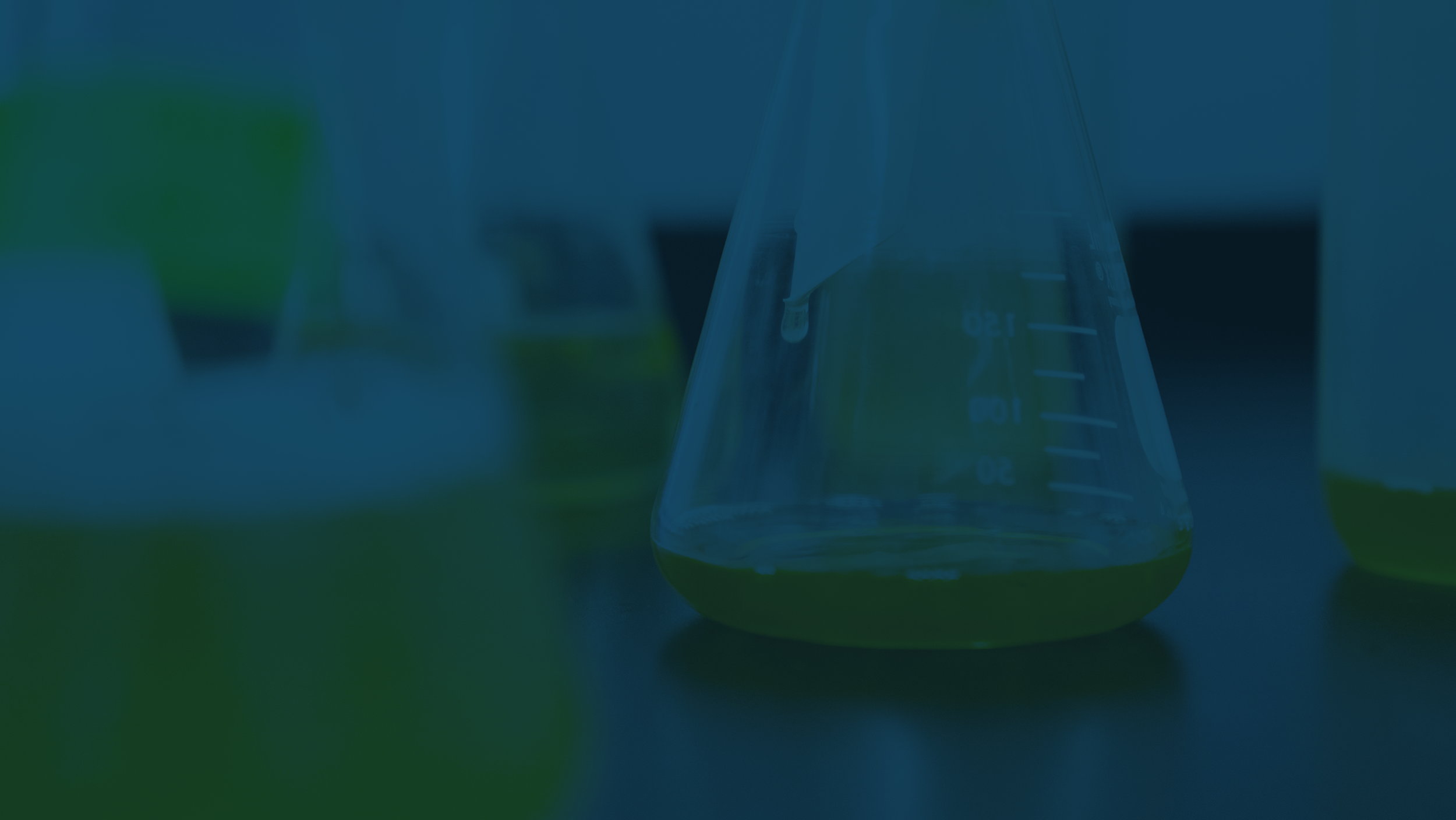 Withee Labs_youtube header_website.png