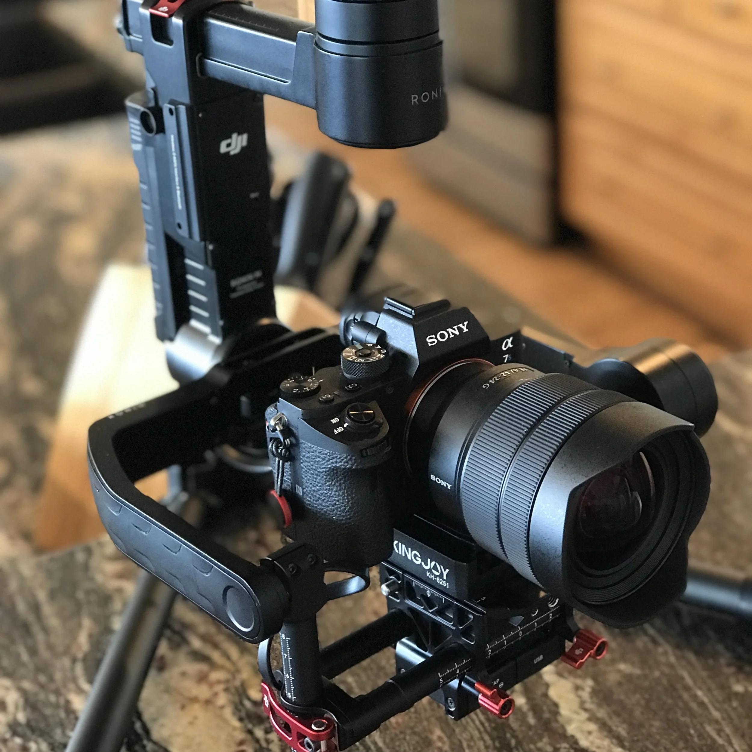 fullsizeoutput_a6c.jpeg