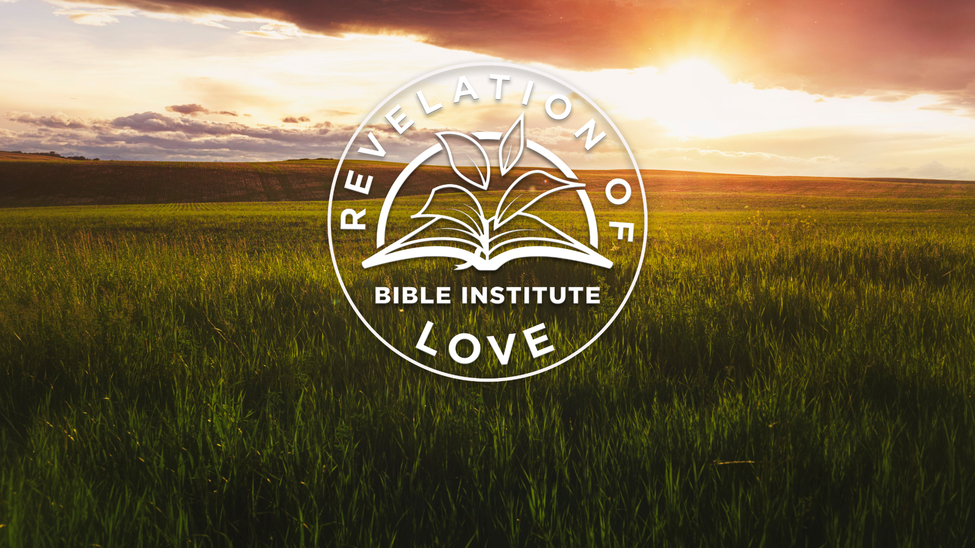 Check out the Bible Institute (1).png