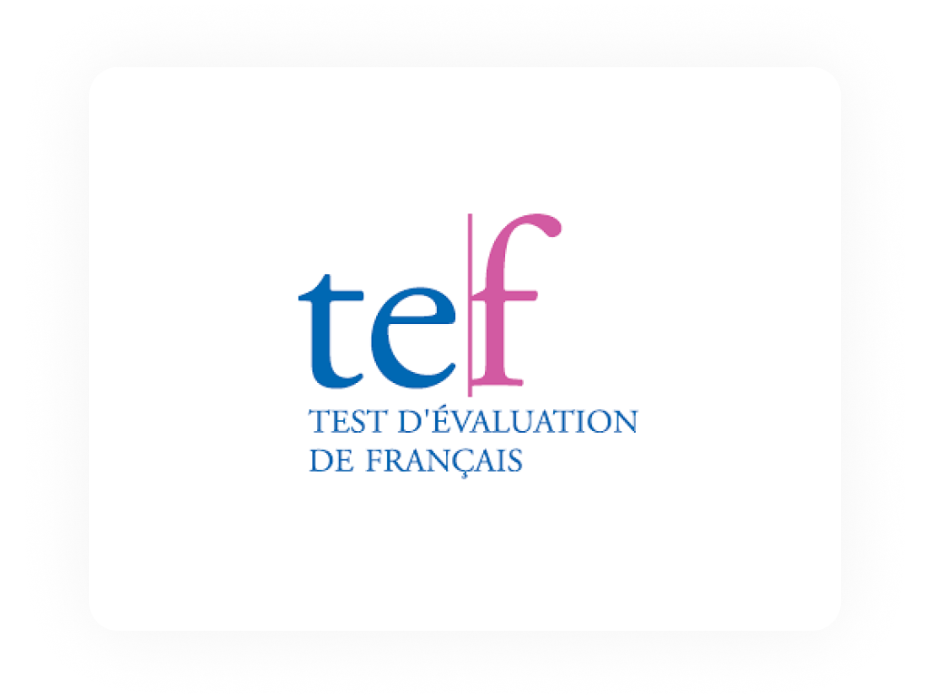 tef Test Logo Card.png