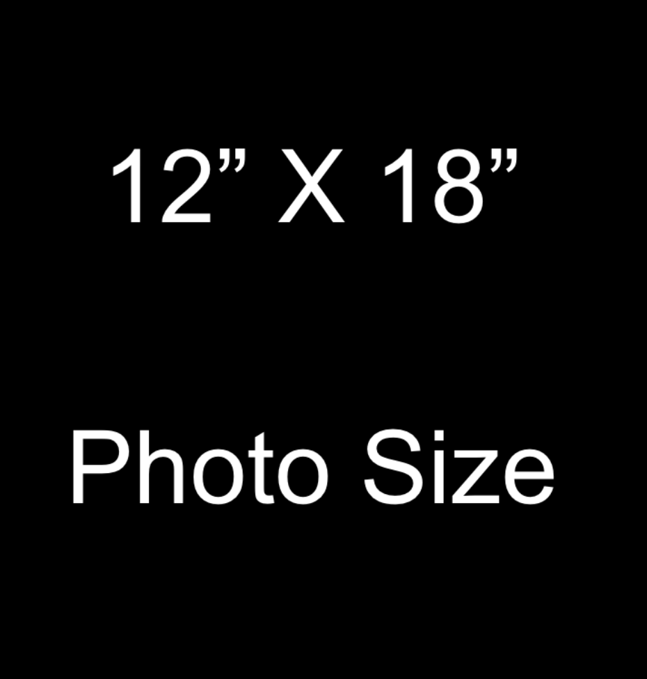 Screen Shot 2024-08-18 at 11.04.12 AM.png