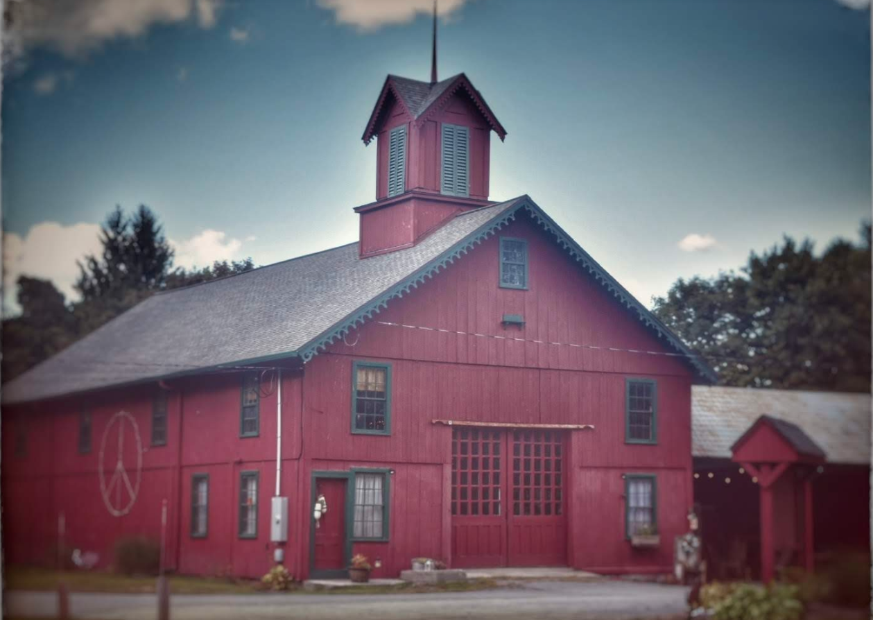 Reading in Roseland Park, Woodstock, CT