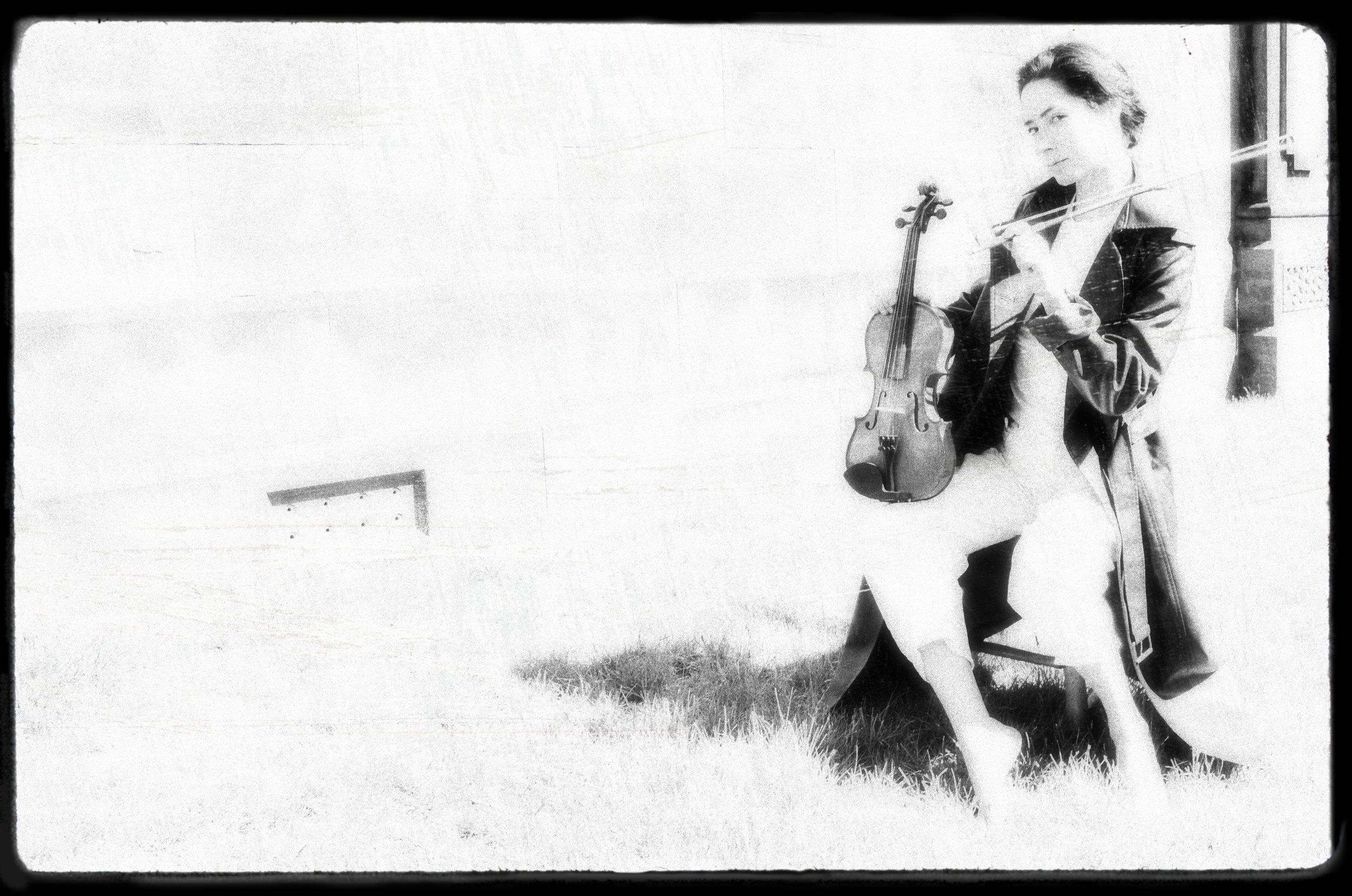 Still Life With Violin
