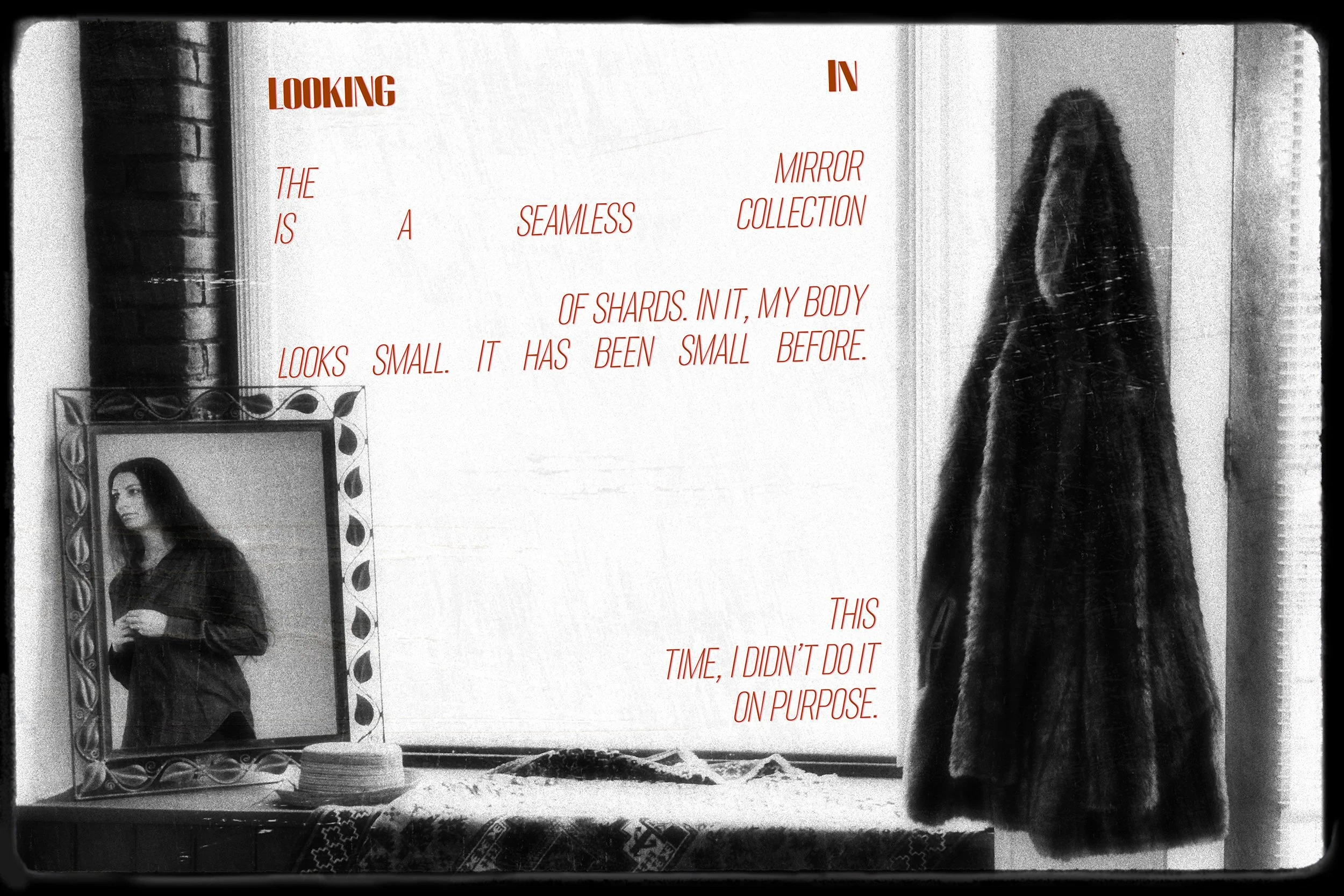 2. Looking In.jpg