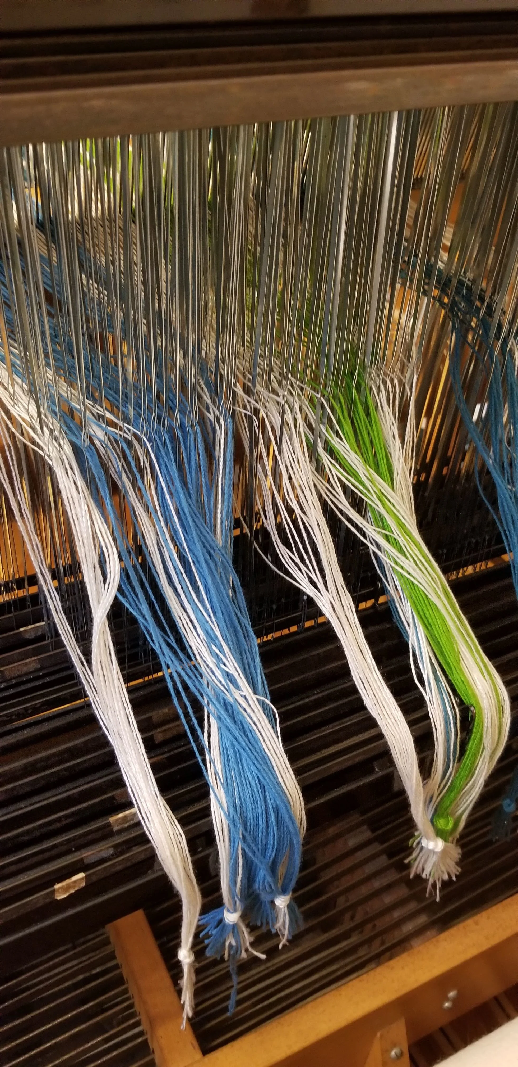 20180711_200829.jpg