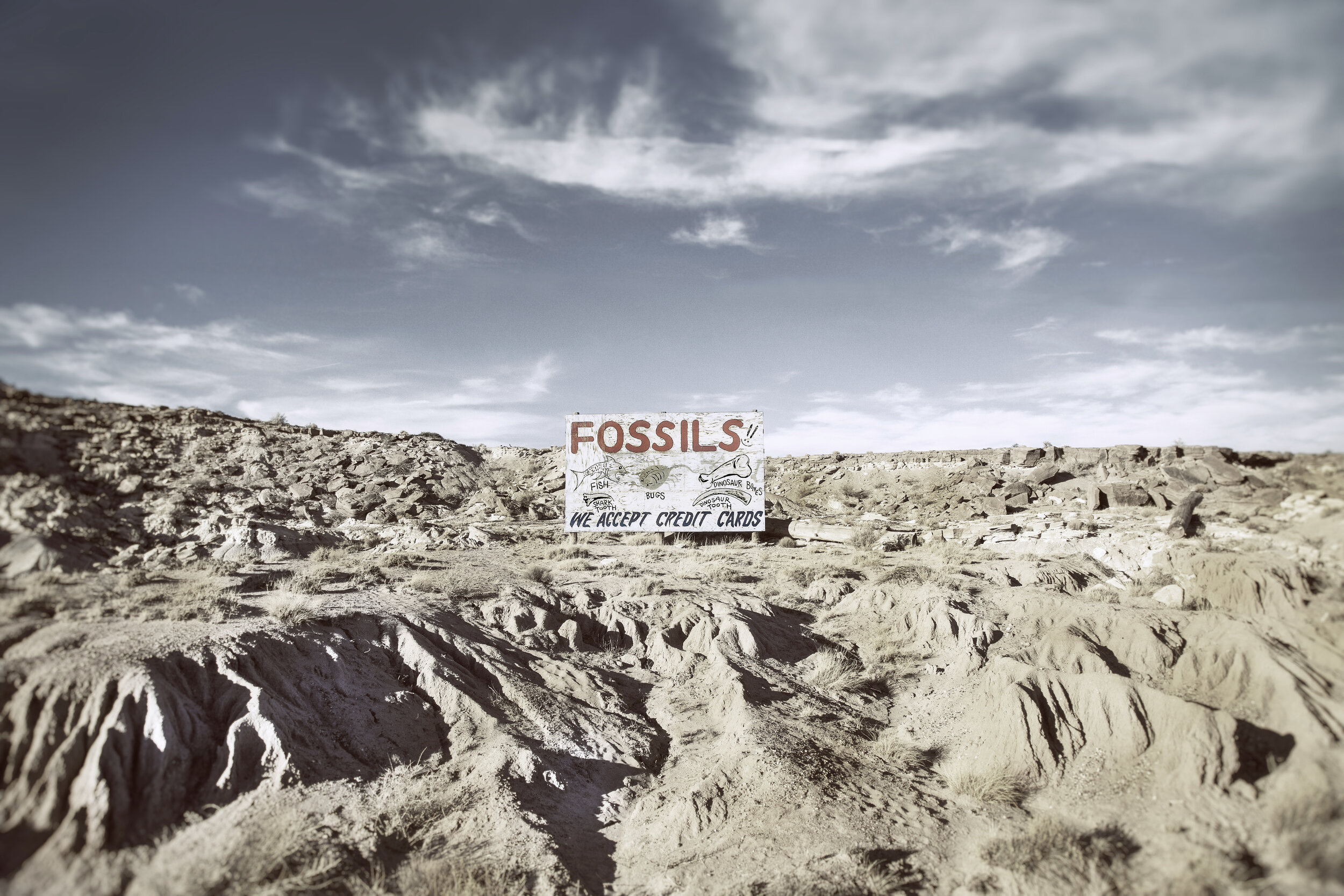 FossilsBokeh3a.jpg