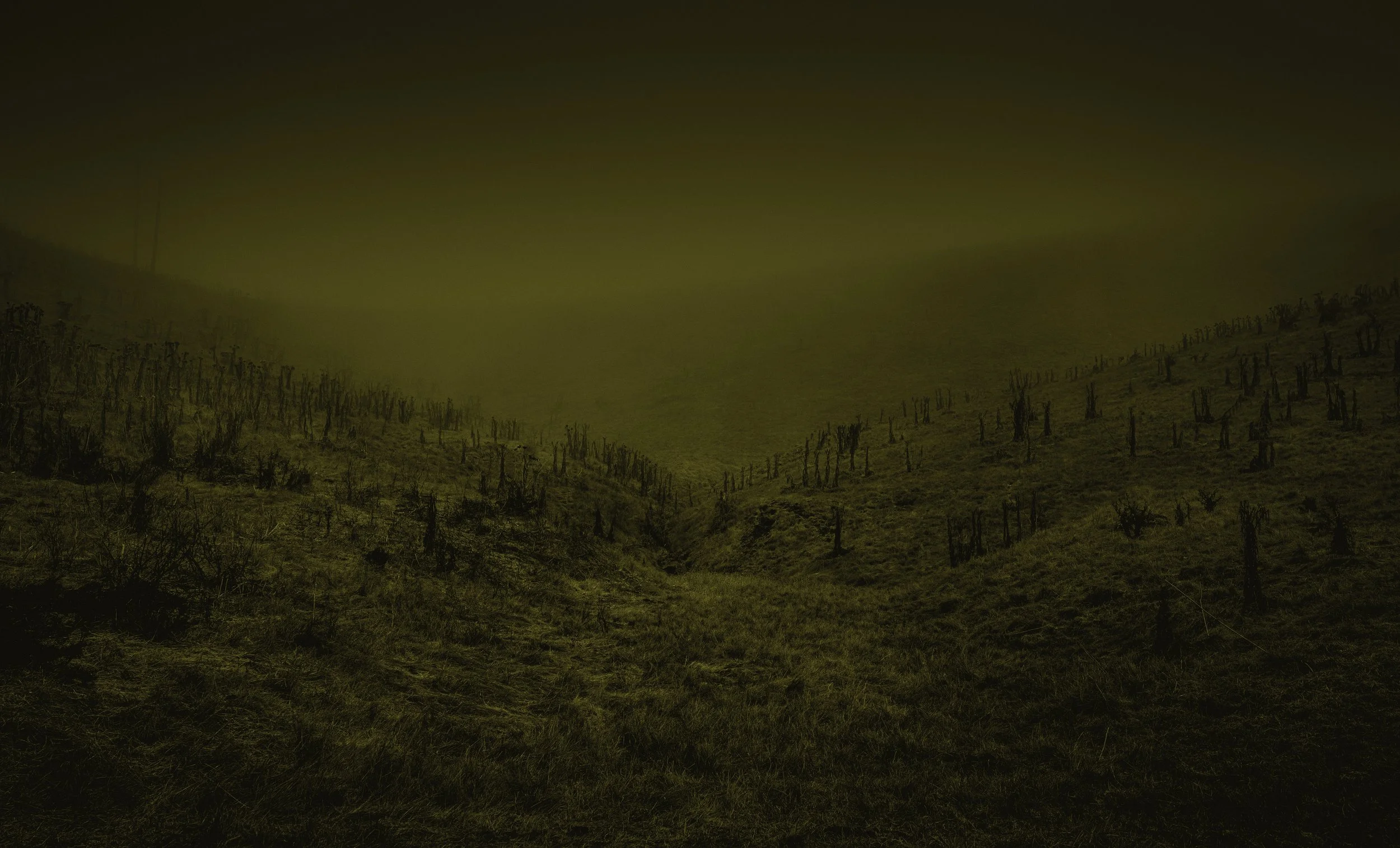 Pasture.jpg