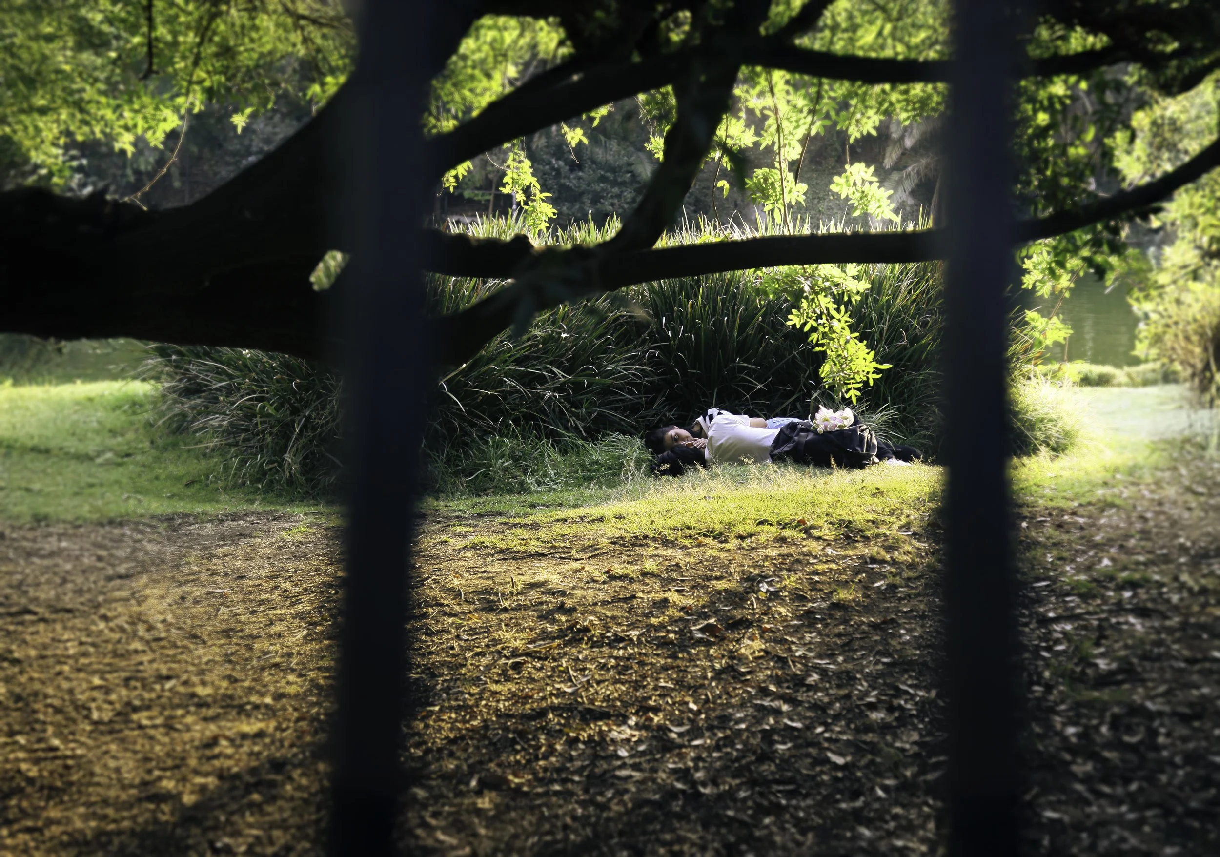 Mexico City secret copy.jpg