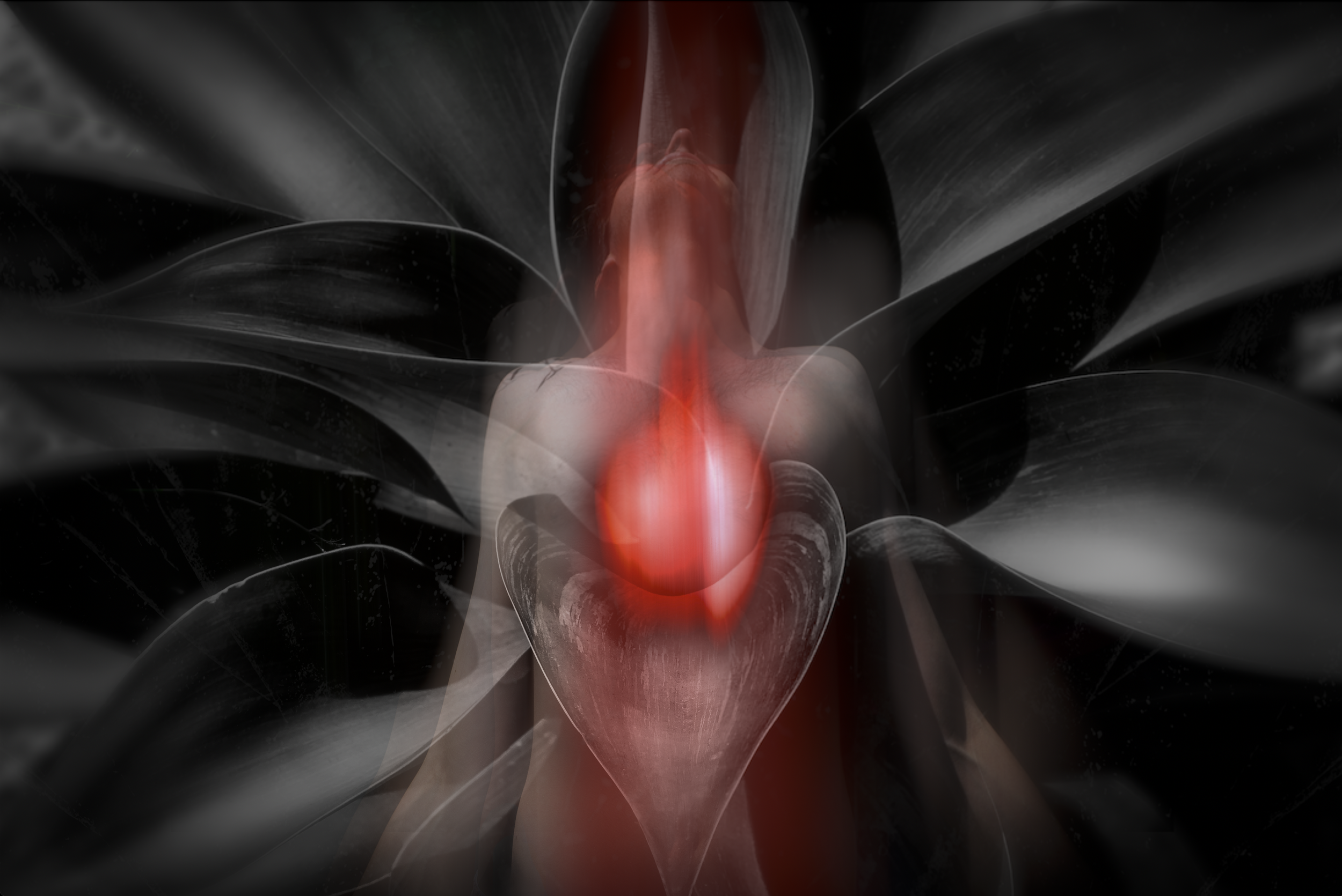 Light Within-RPrins.png