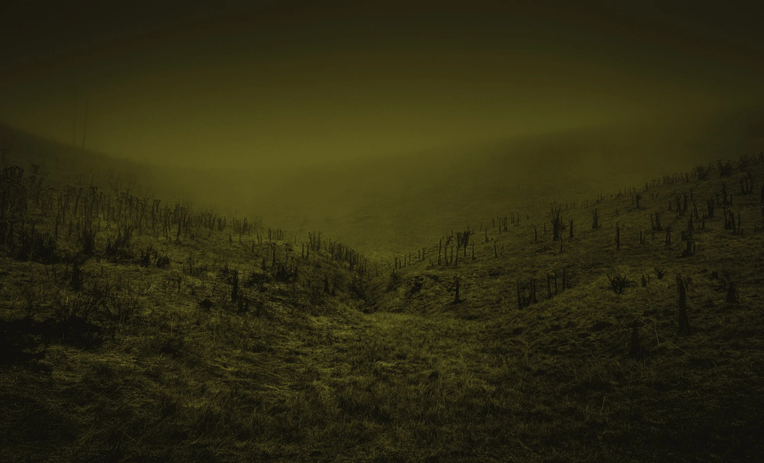 Pasture.jpg