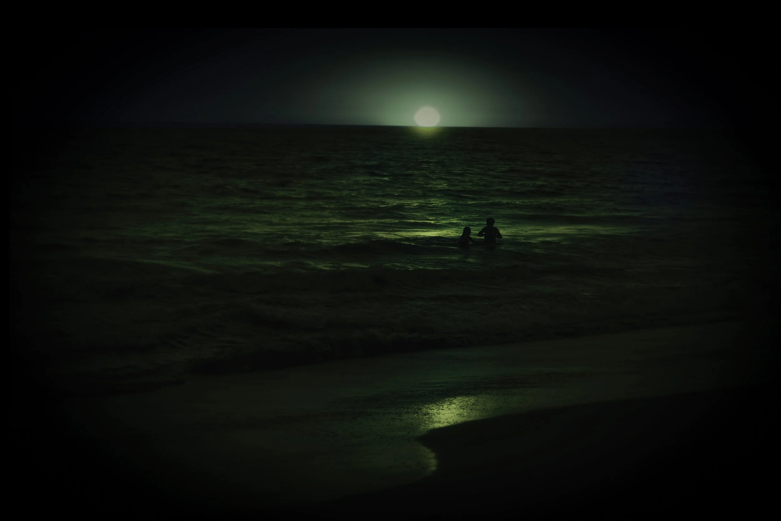 Nuclear Swim Rev4LR.jpg