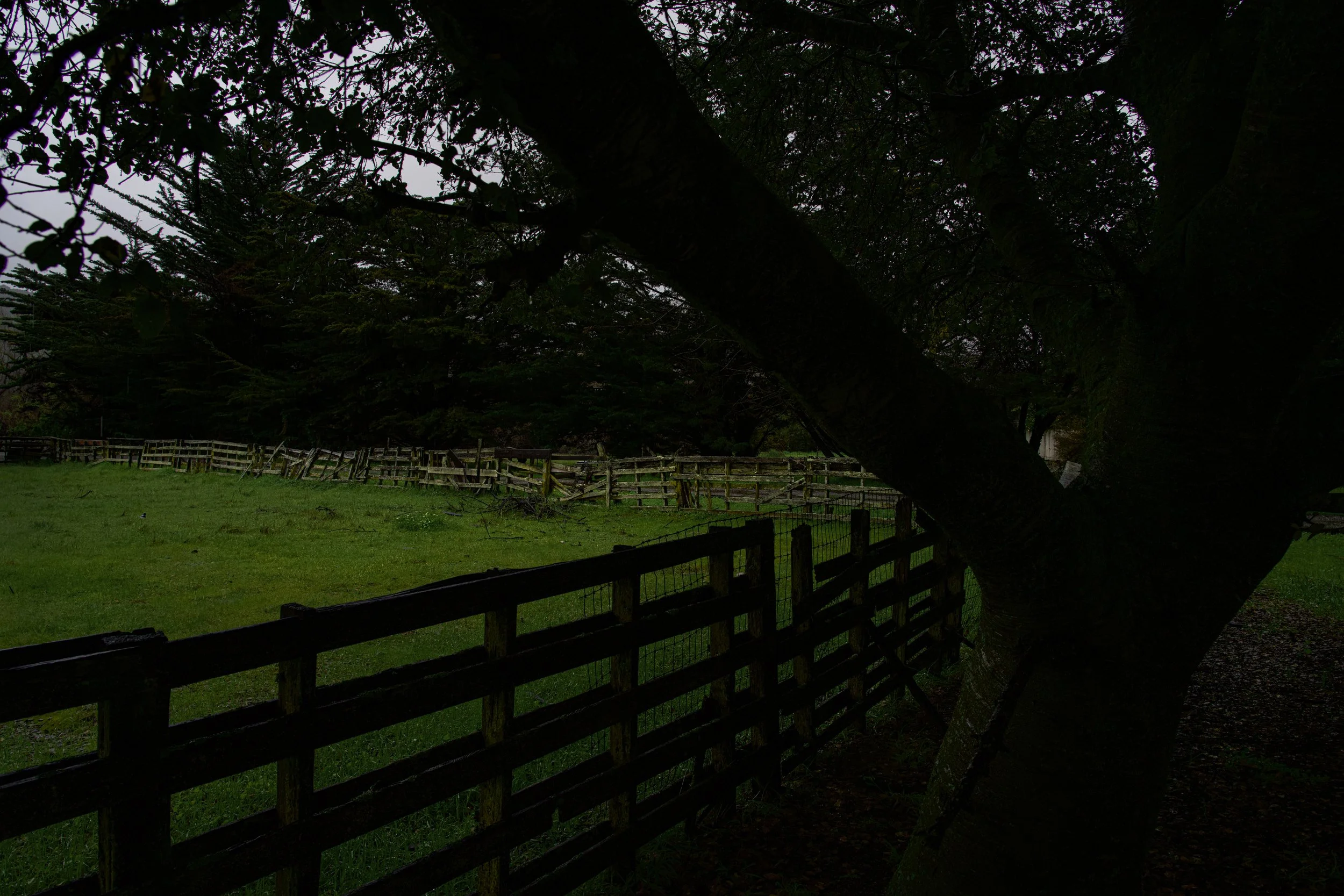 Carmel Valley Rain LR.jpg