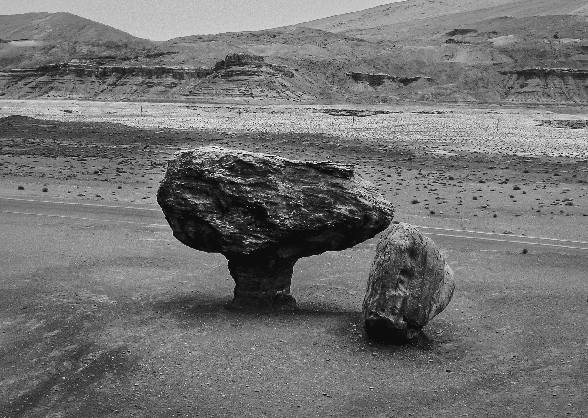 Mushroom BW-Edit copy.jpg