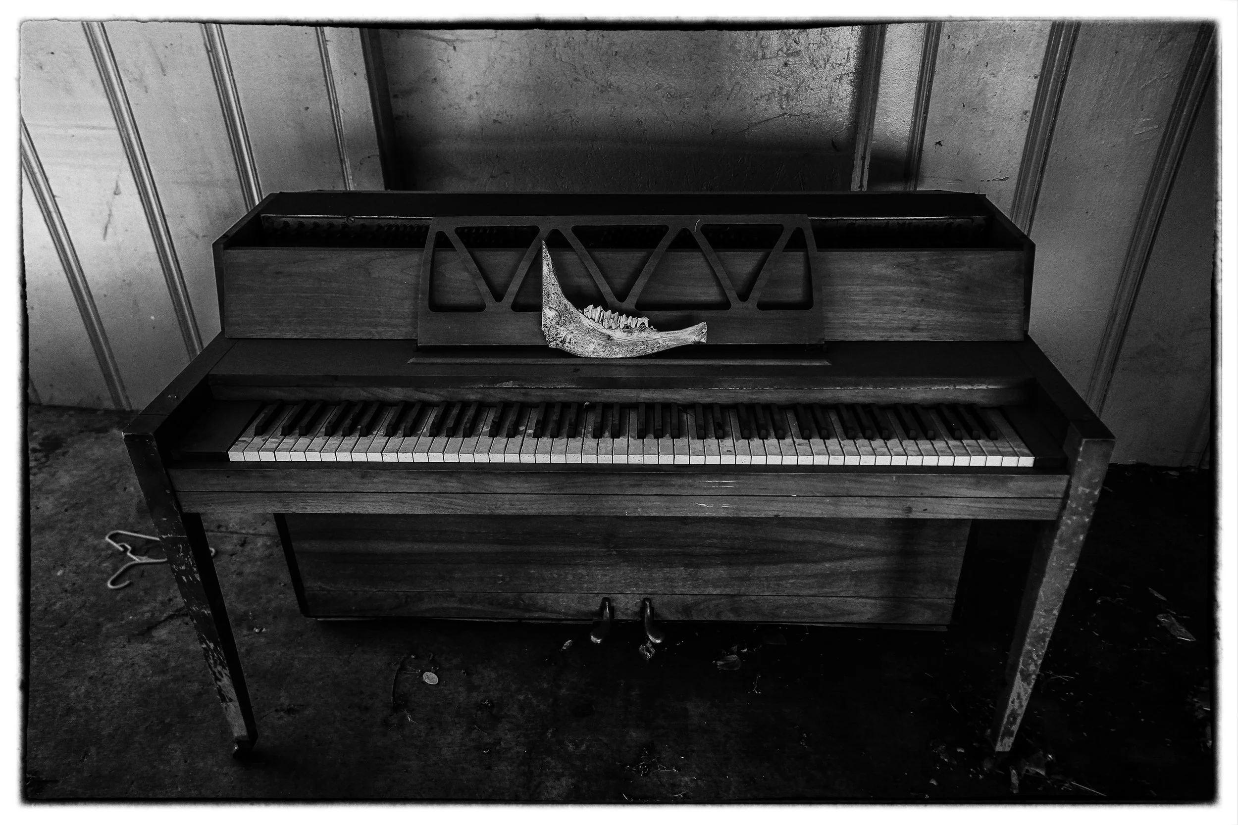 Jawbone Piano LR.jpg