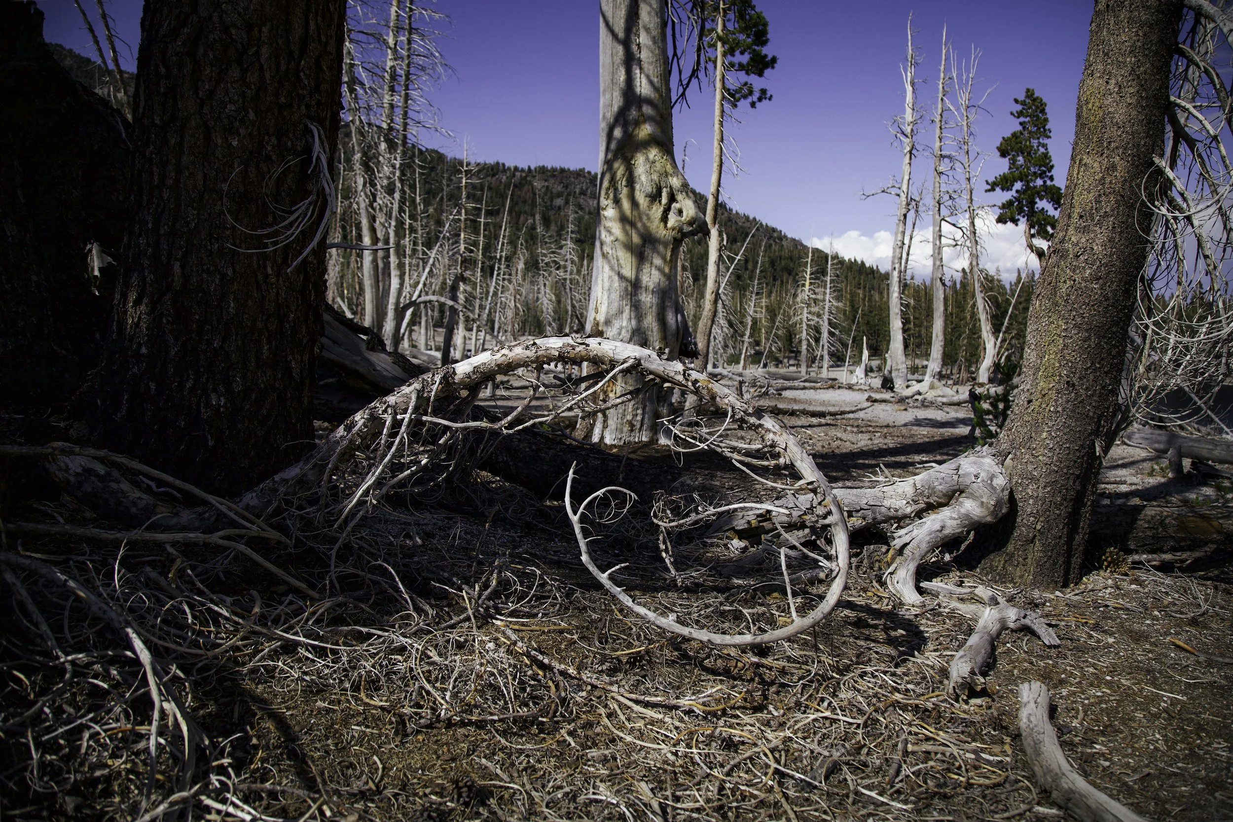 Mammoth Lakes lr.jpg