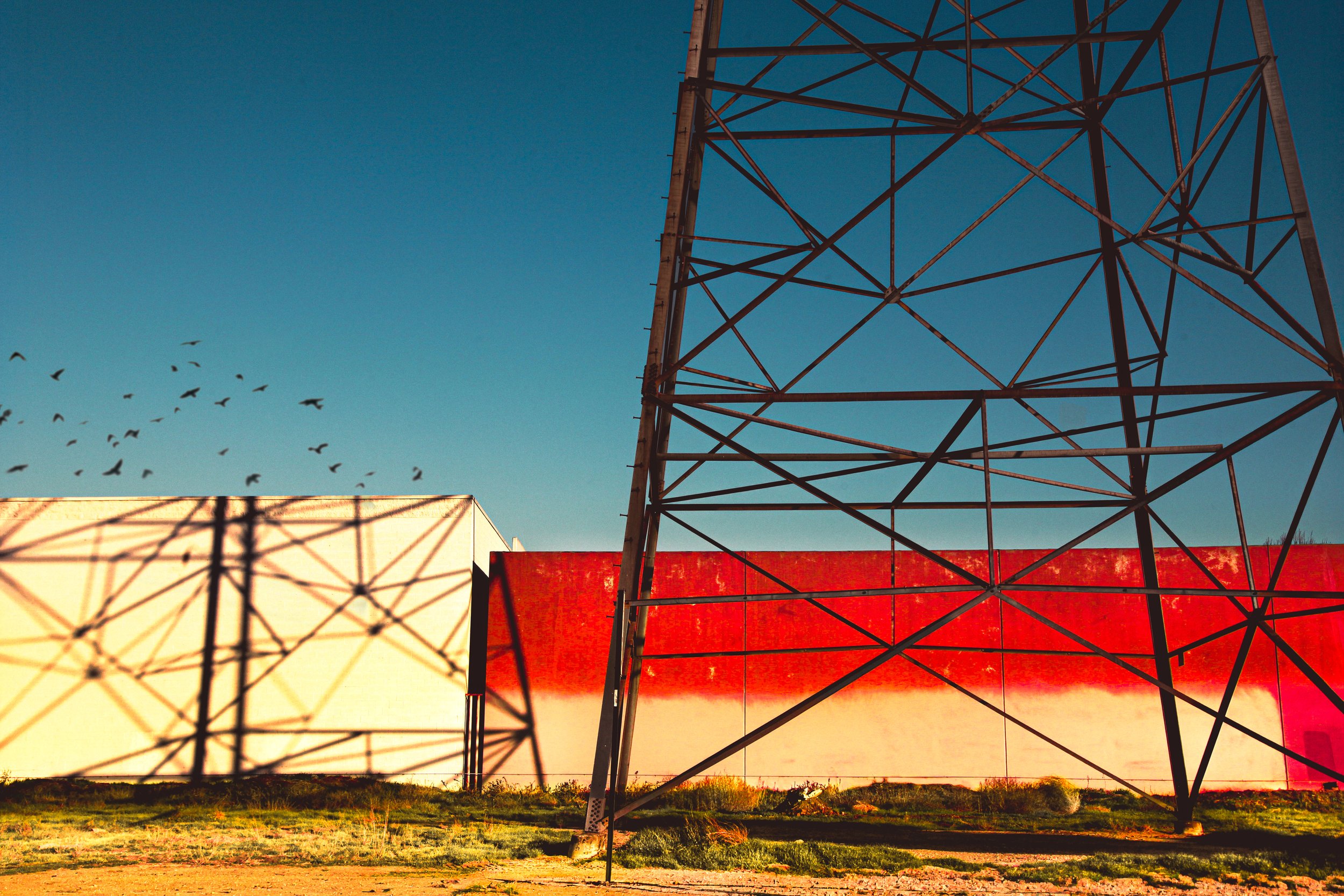 Eggleston Shadow BirdsLR.jpg